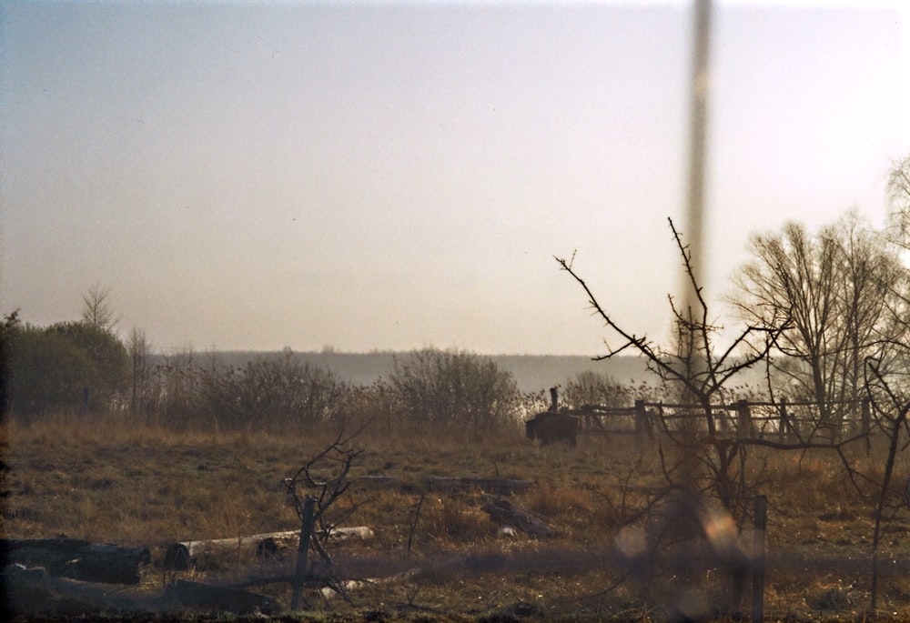 a view of a field through a fence