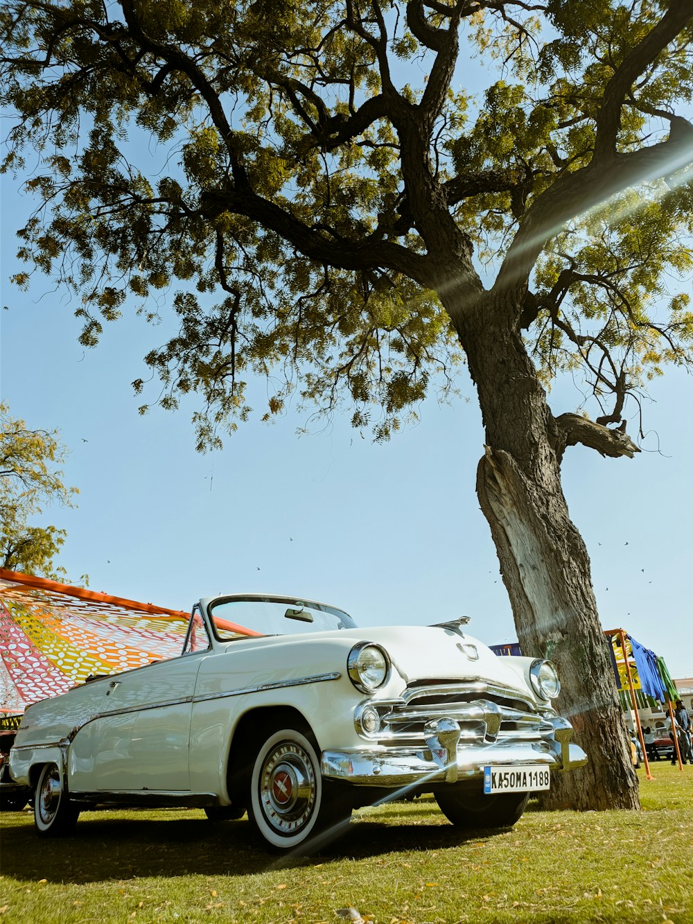 a white car parked next to a tree in a park