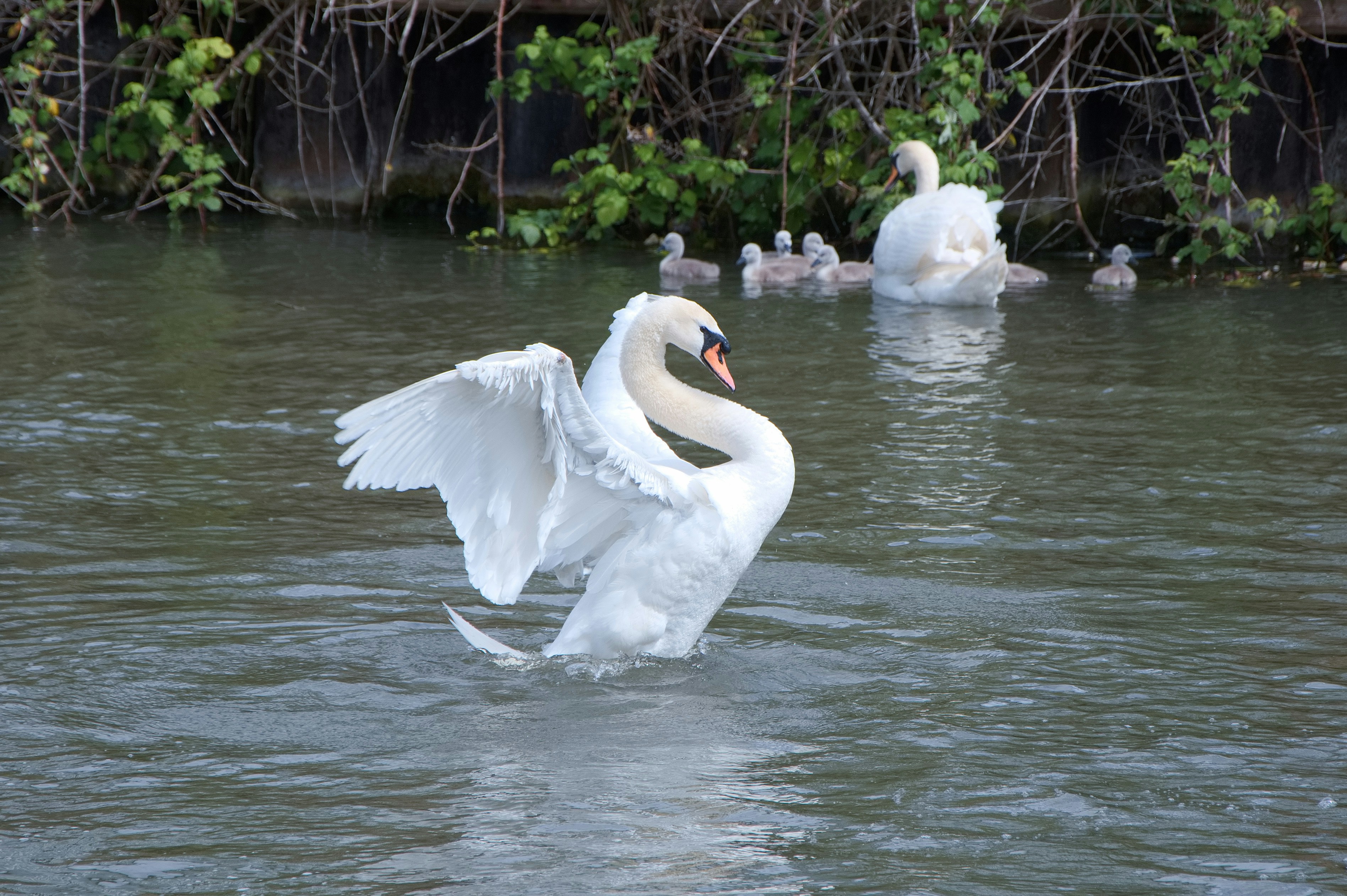 Photo by photopersonofpeople