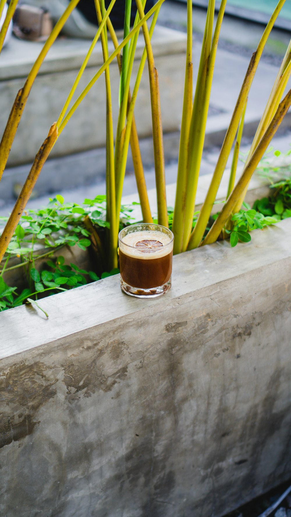 a cup of coffee sitting on top of a cement planter