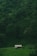 A small house with a patterned roof is nestled among lush, dense green foliage on a hillside. The surrounding landscape is dominated by varying shades of green from the grass, trees, and bushes, creating a natural and serene environment.