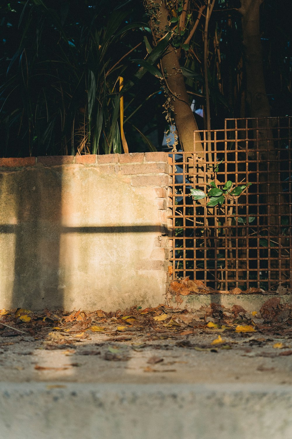 a fire hydrant sitting next to a cement wall