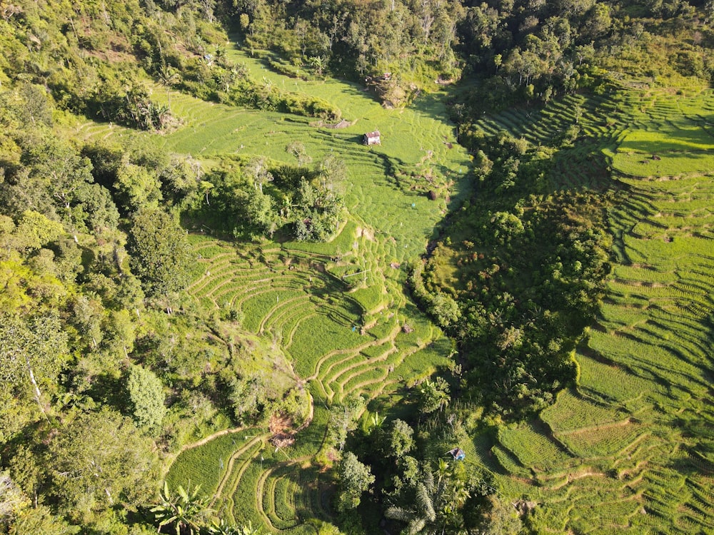 an aerial view of a lush green valley