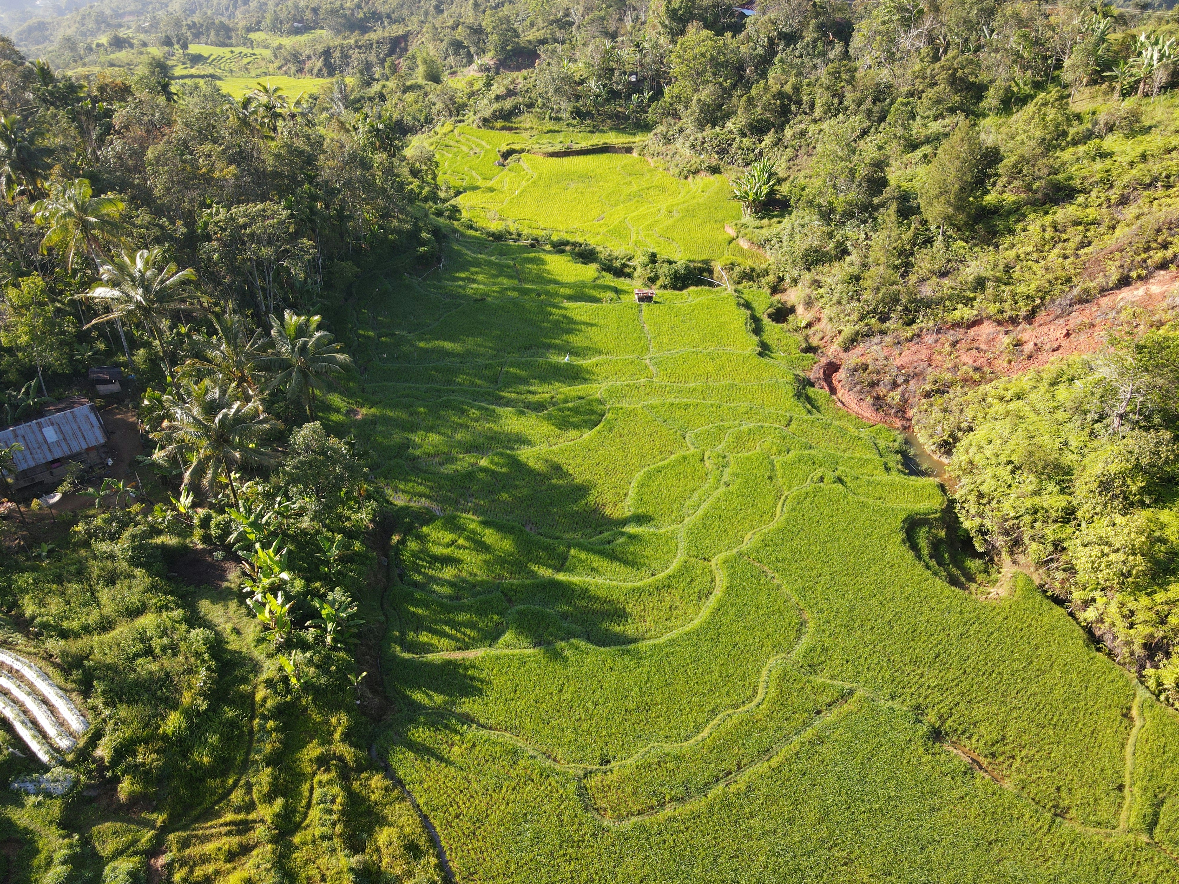 Photo by aahmadhidayaat