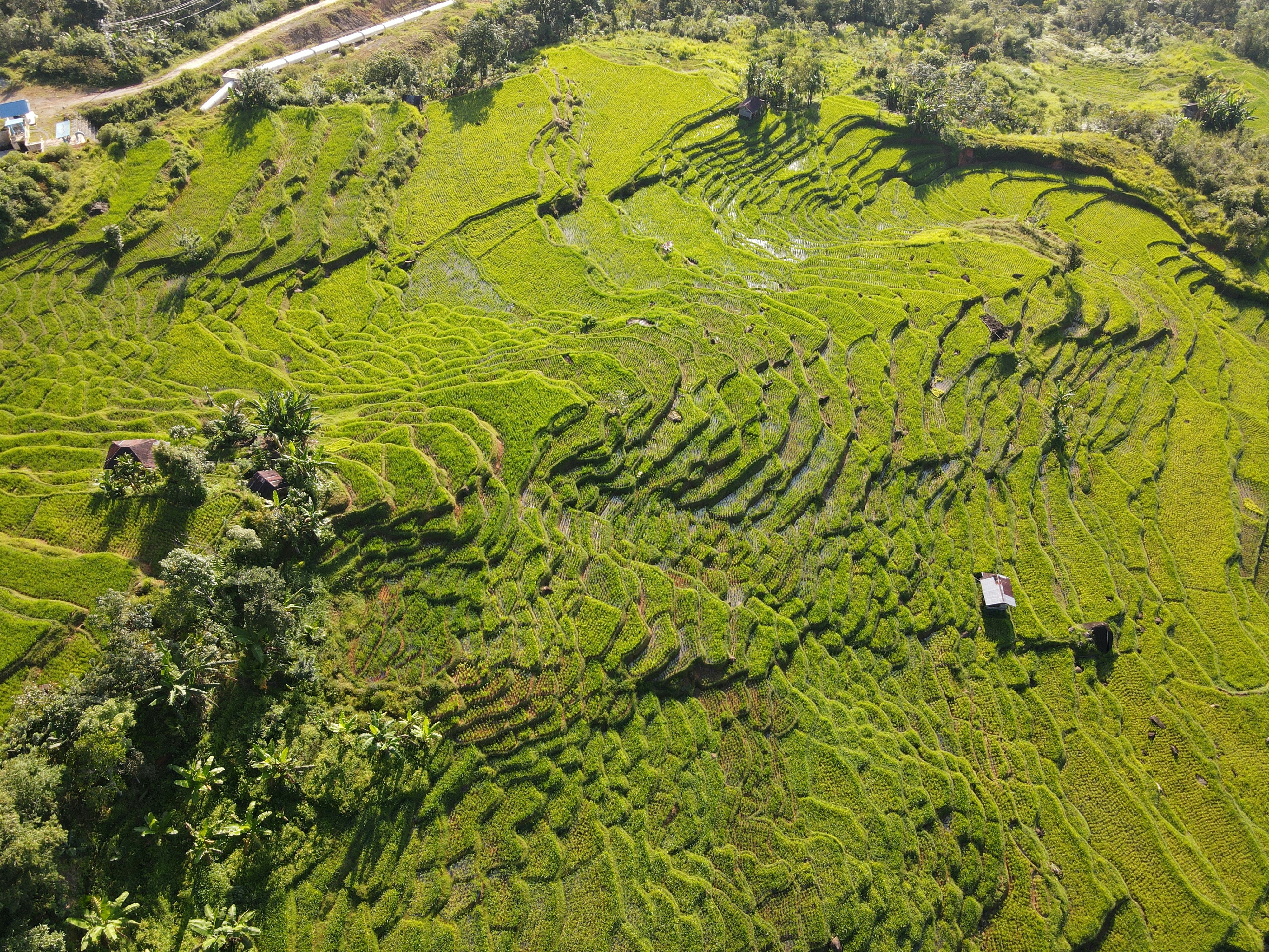 Photo by aahmadhidayaat