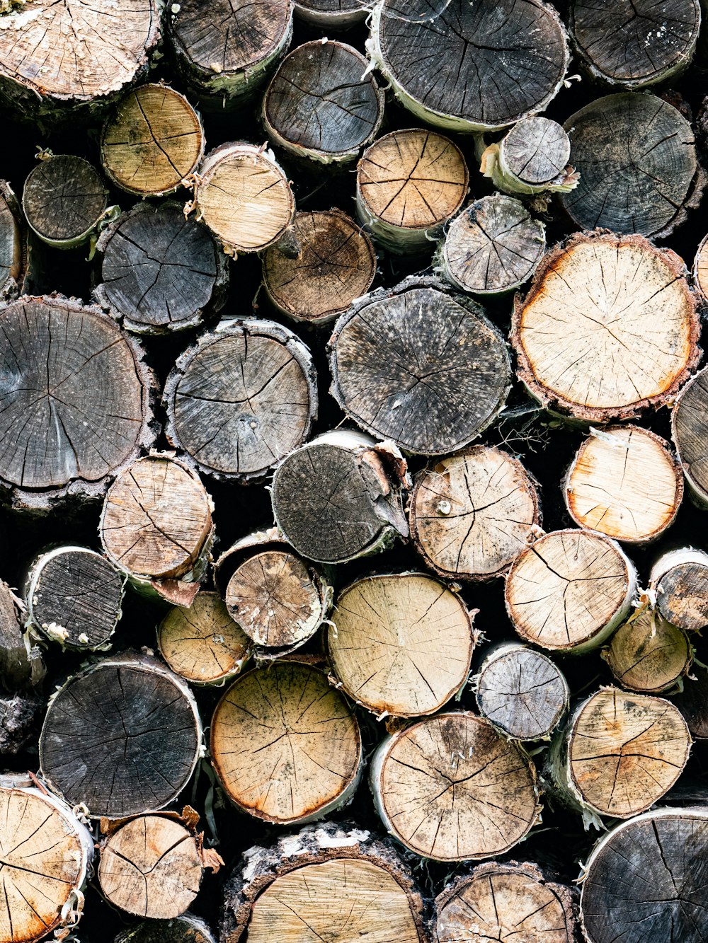 a pile of cut logs sitting next to each other