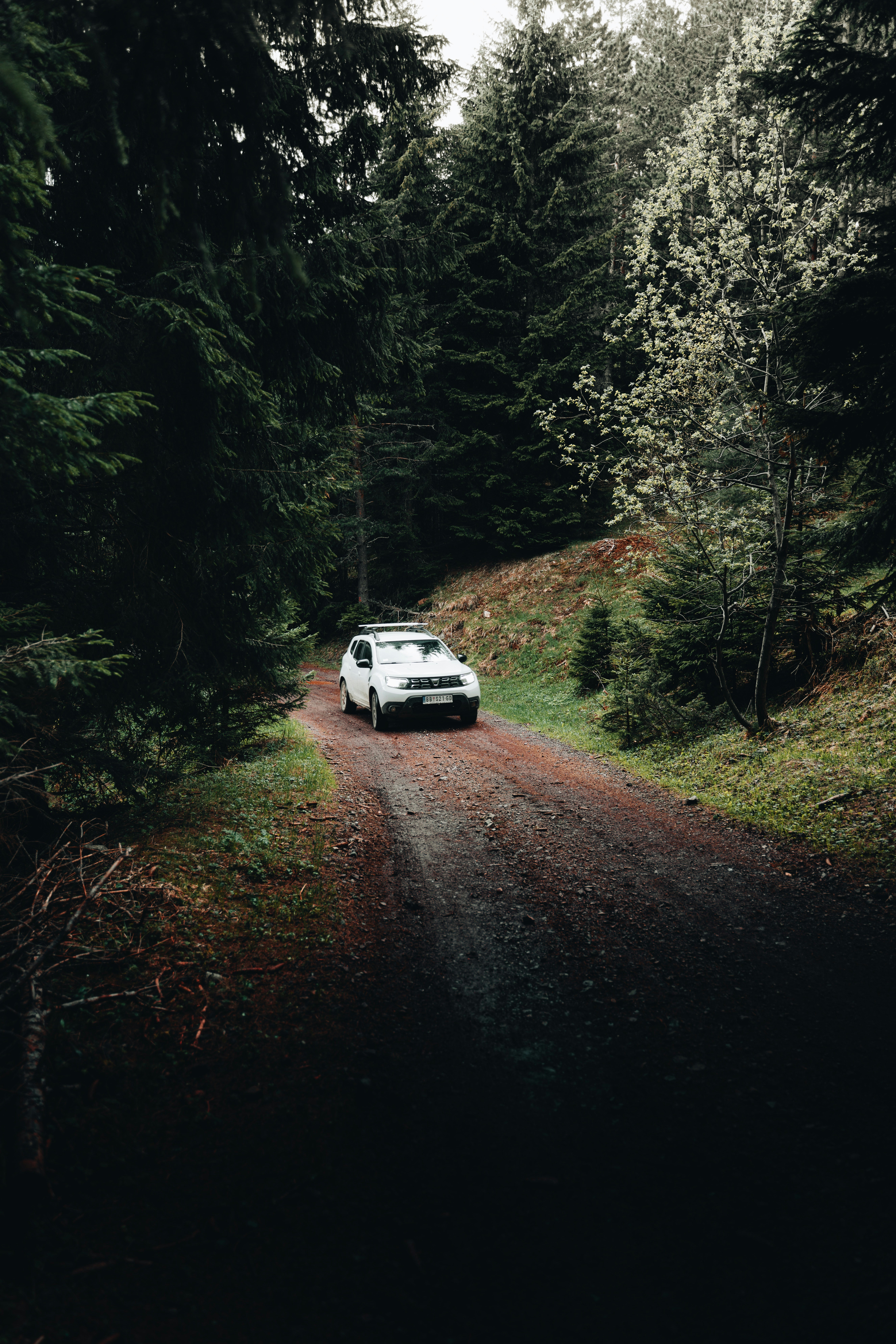 Dacia Duster Pictures | Download Free Images on Unsplash