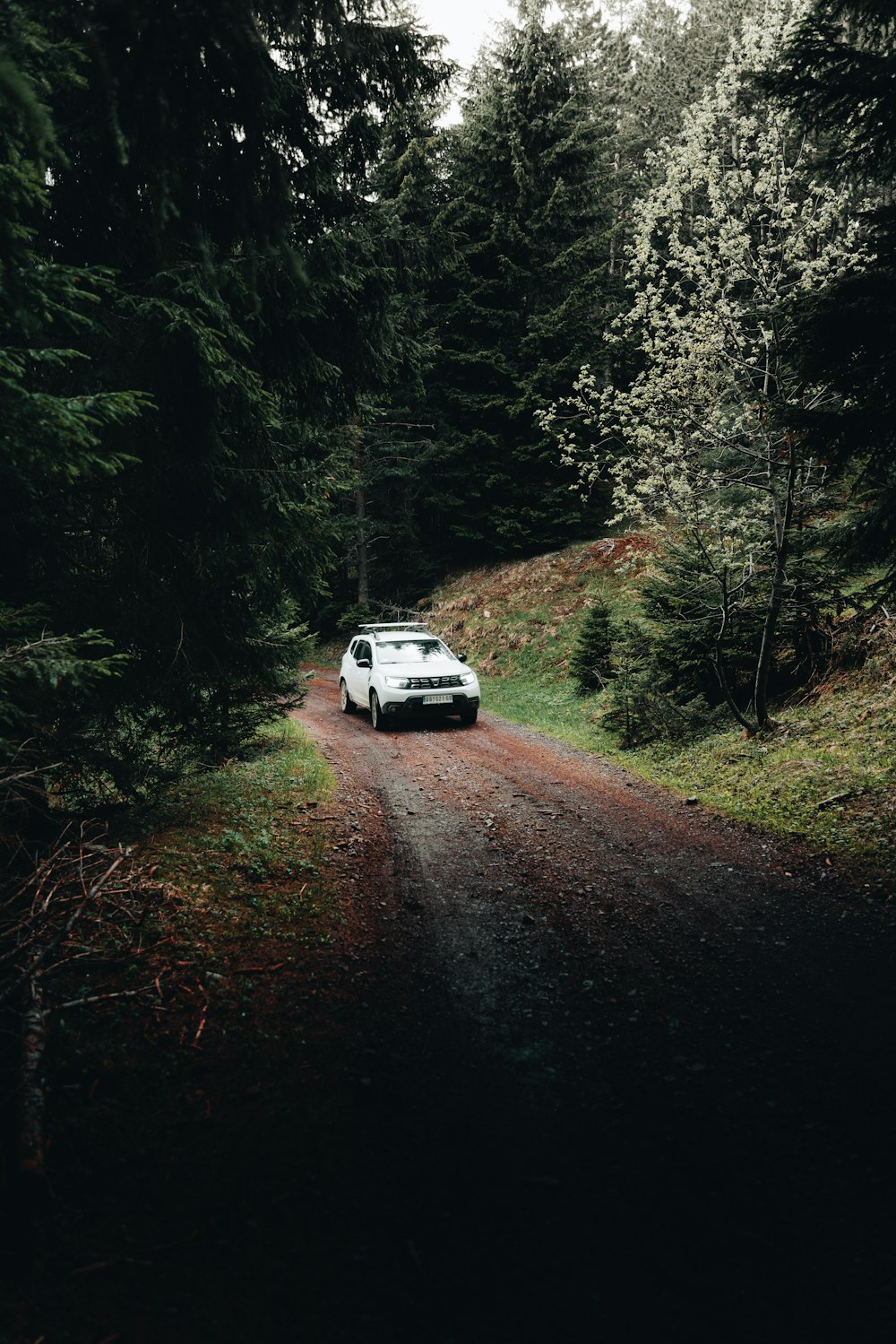 a white car driving down a dirt road in the woods