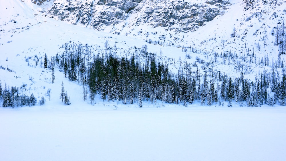 a man riding skis down a snow covered slope