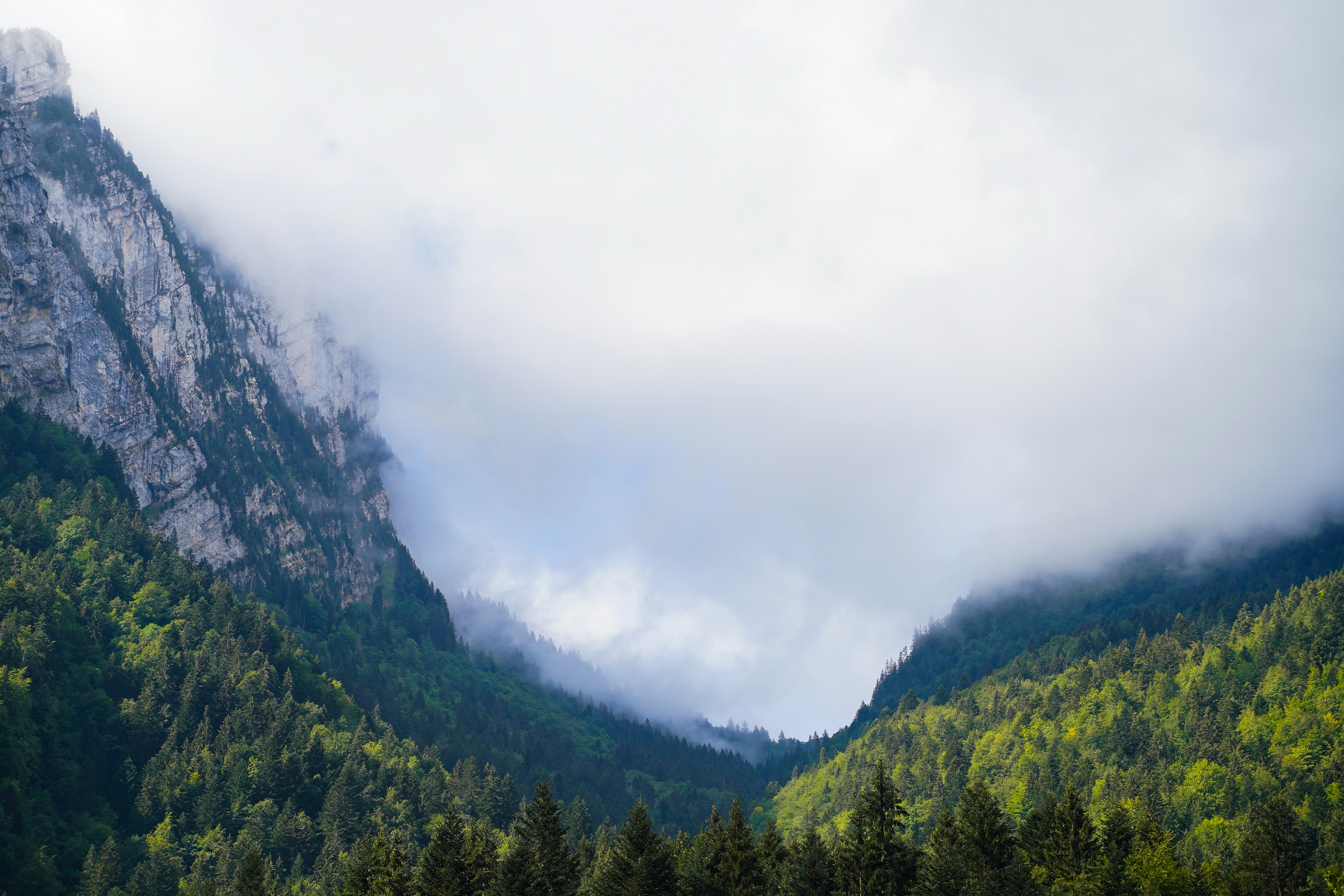 Photo by maximesteckle