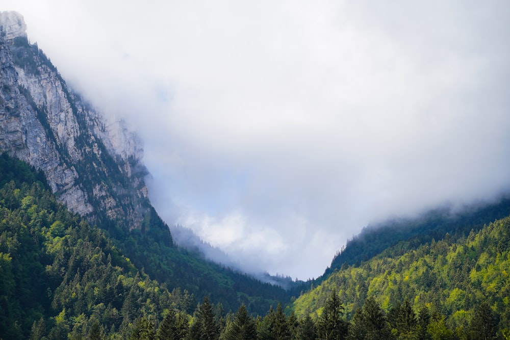 a view of a mountain with trees and clouds