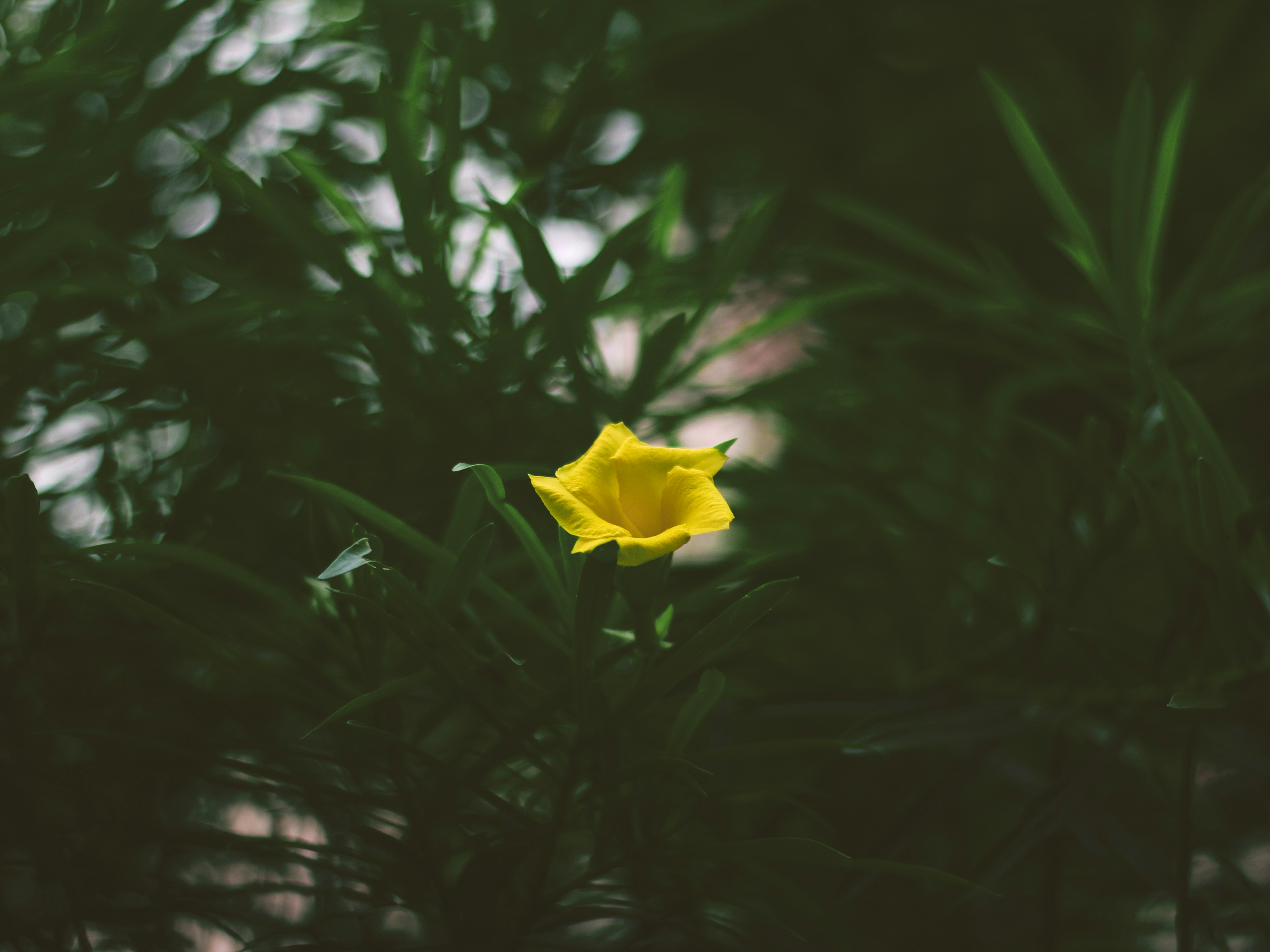 Photo by southern_scenes