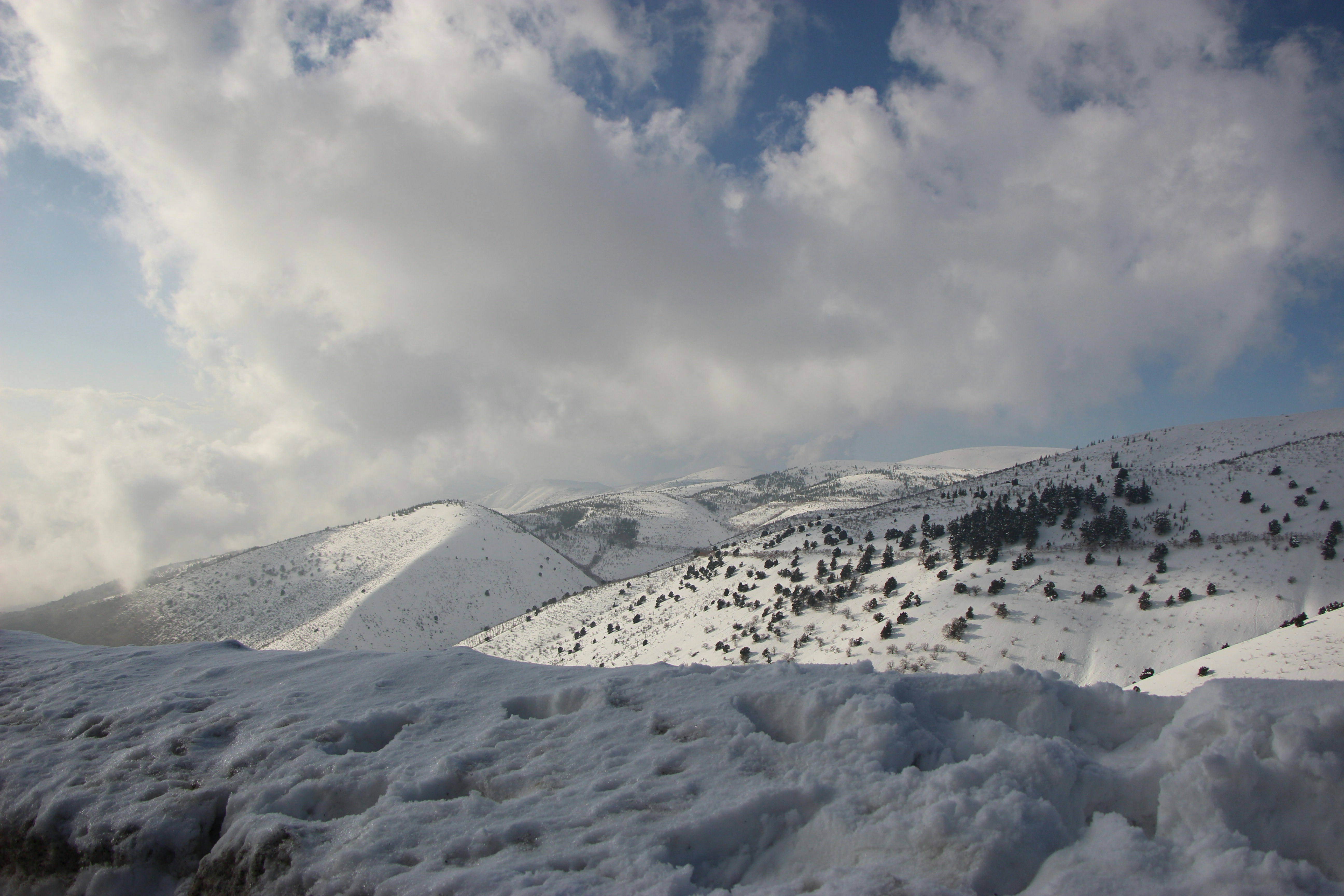 Photo by khalil75
