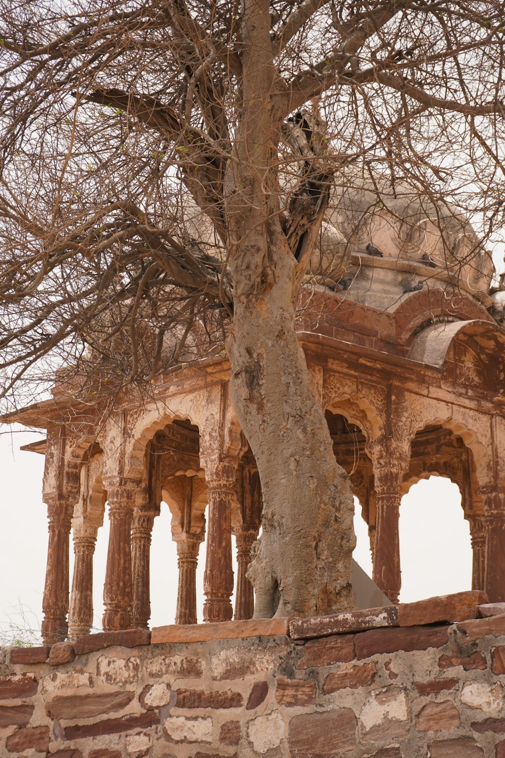 a tree in front of a stone building