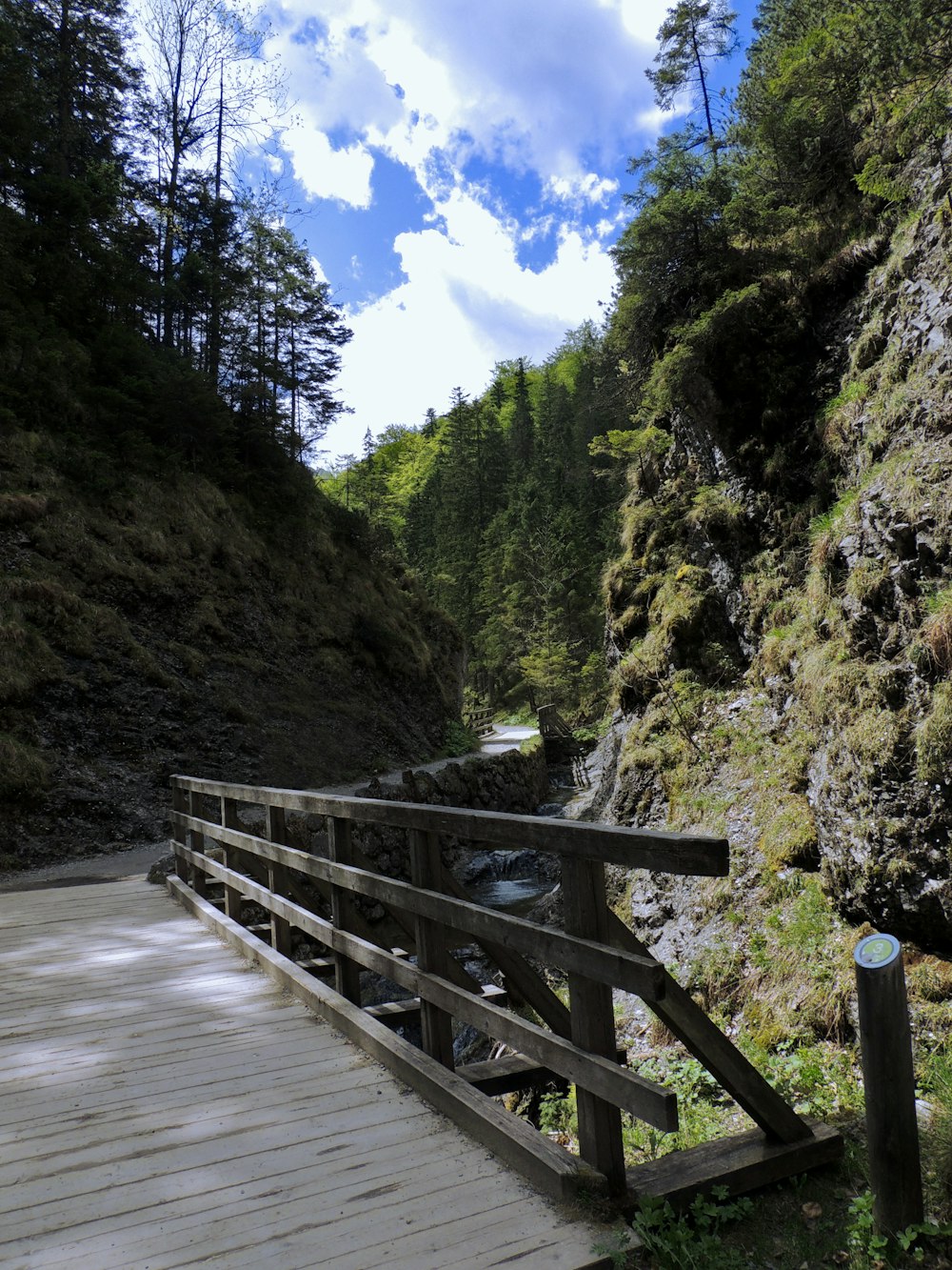 a wooden bridge over a stream in a forest