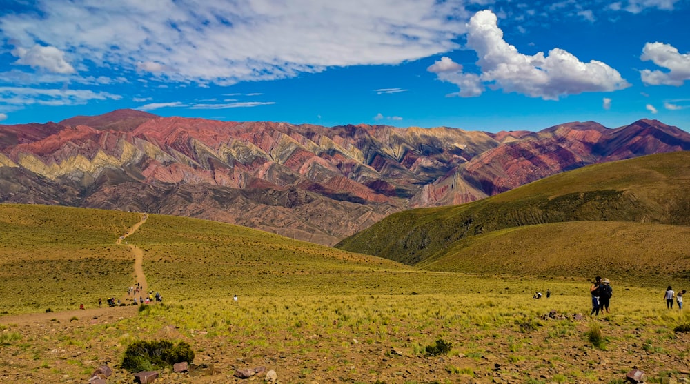 a group of people standing on top of a lush green hillside