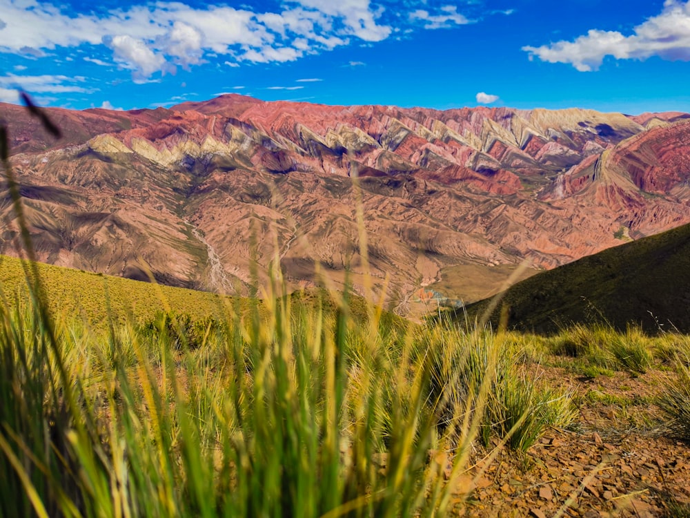 a view of a mountain range with grass in the foreground