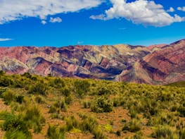 Wyoming landscape with a subtle overlay of digital marketing icons symbolizing growth.