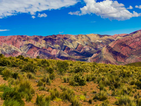 A colorful travel video clip featuring vibrant landscapes and motion graphics.