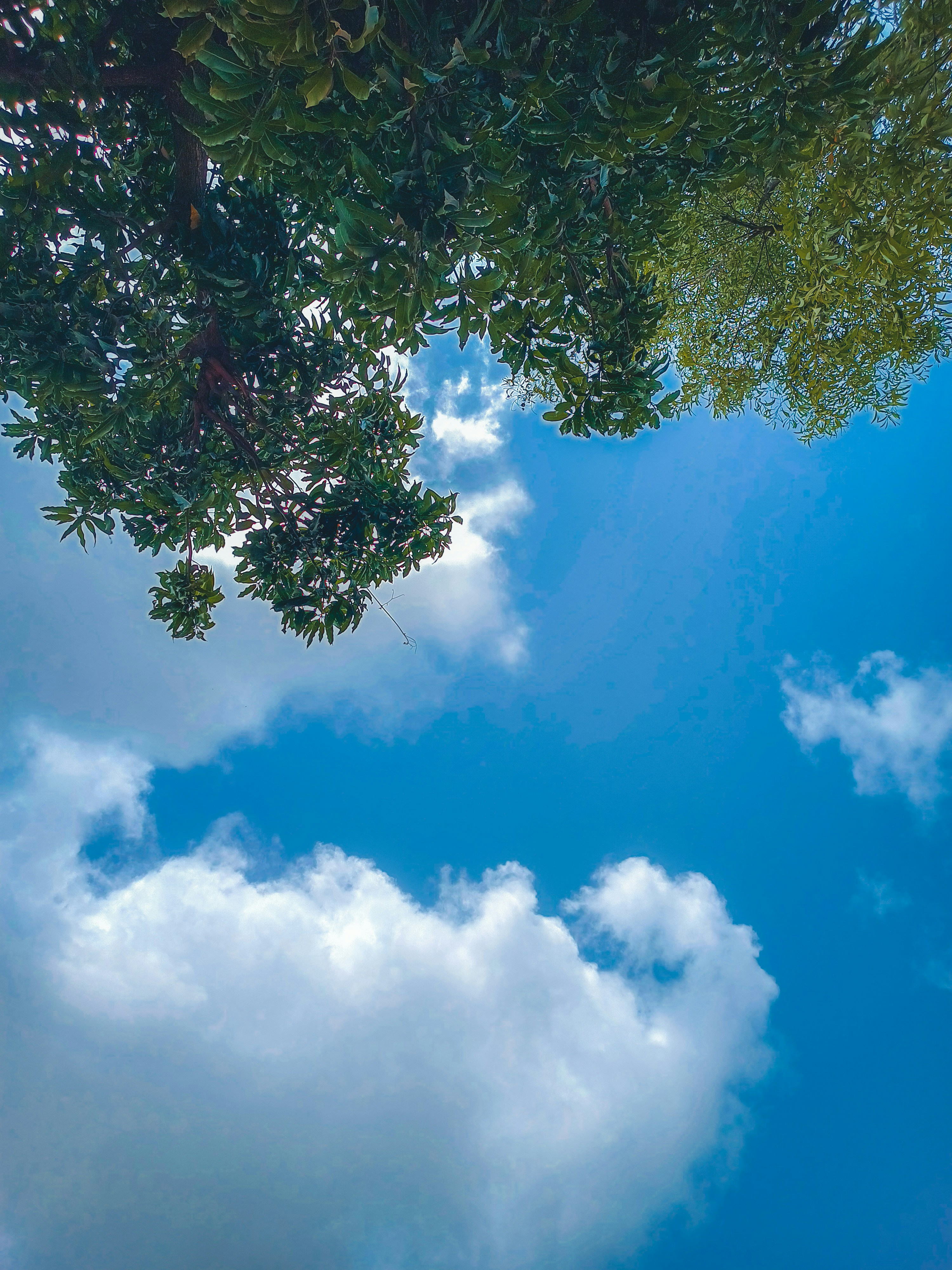 Photo by unlikelycreator