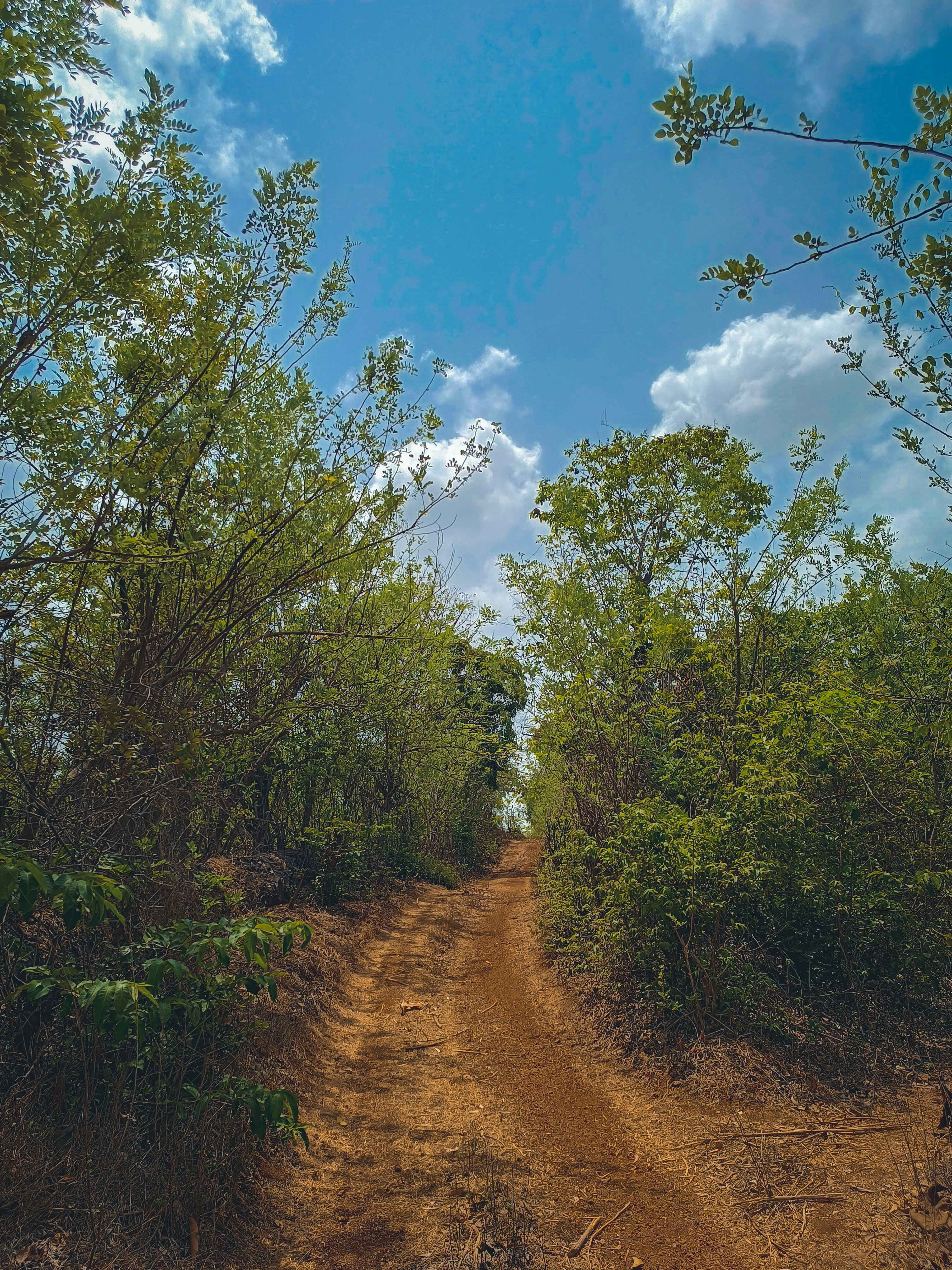 Photo by unlikelycreator