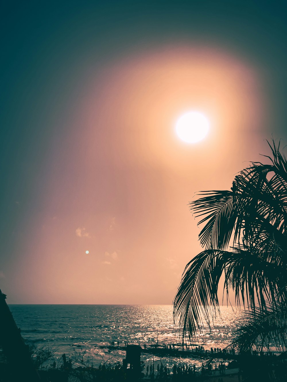 the sun is setting over the ocean with a palm tree in the foreground