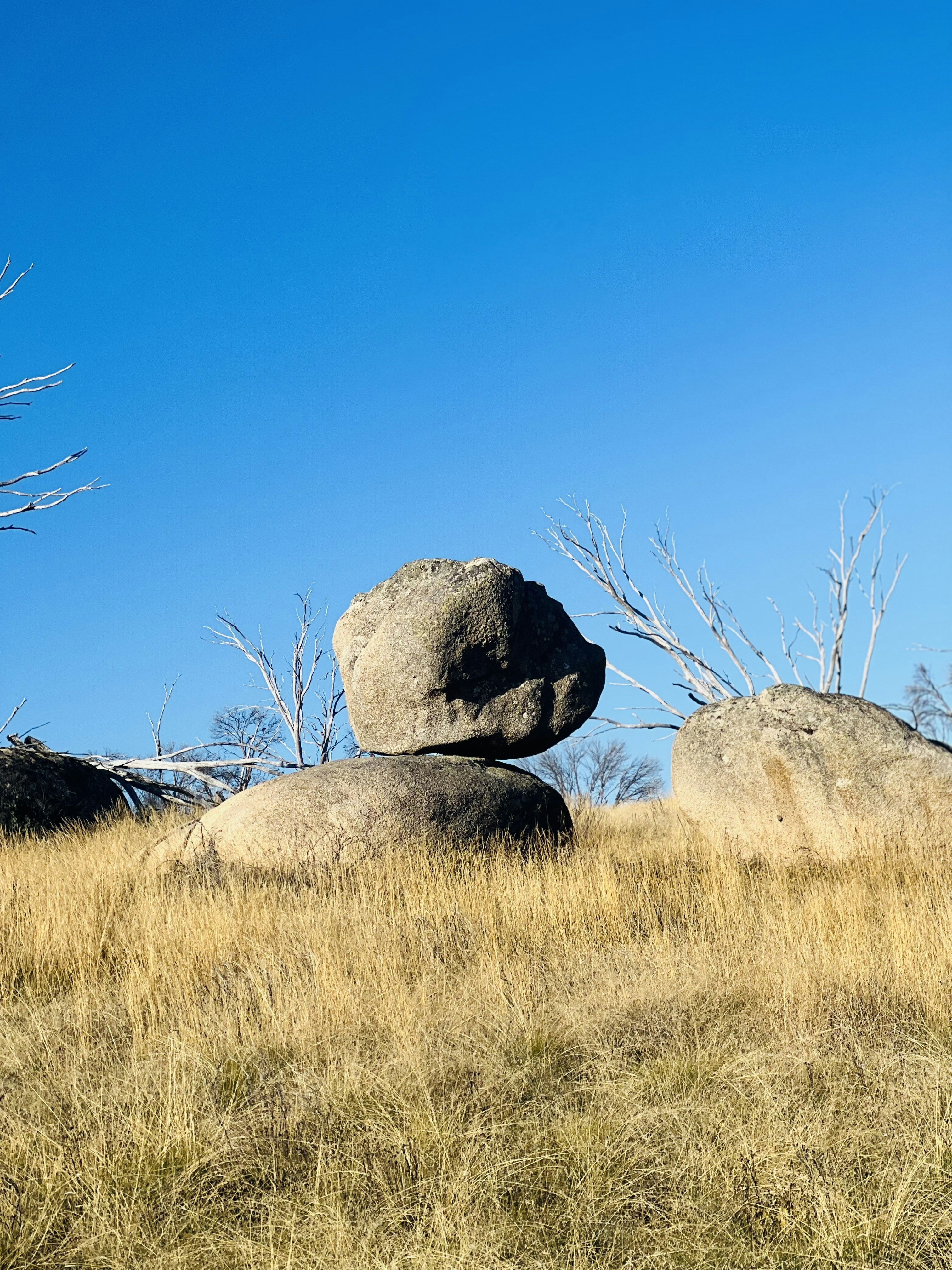 Photo by singhharjiwan