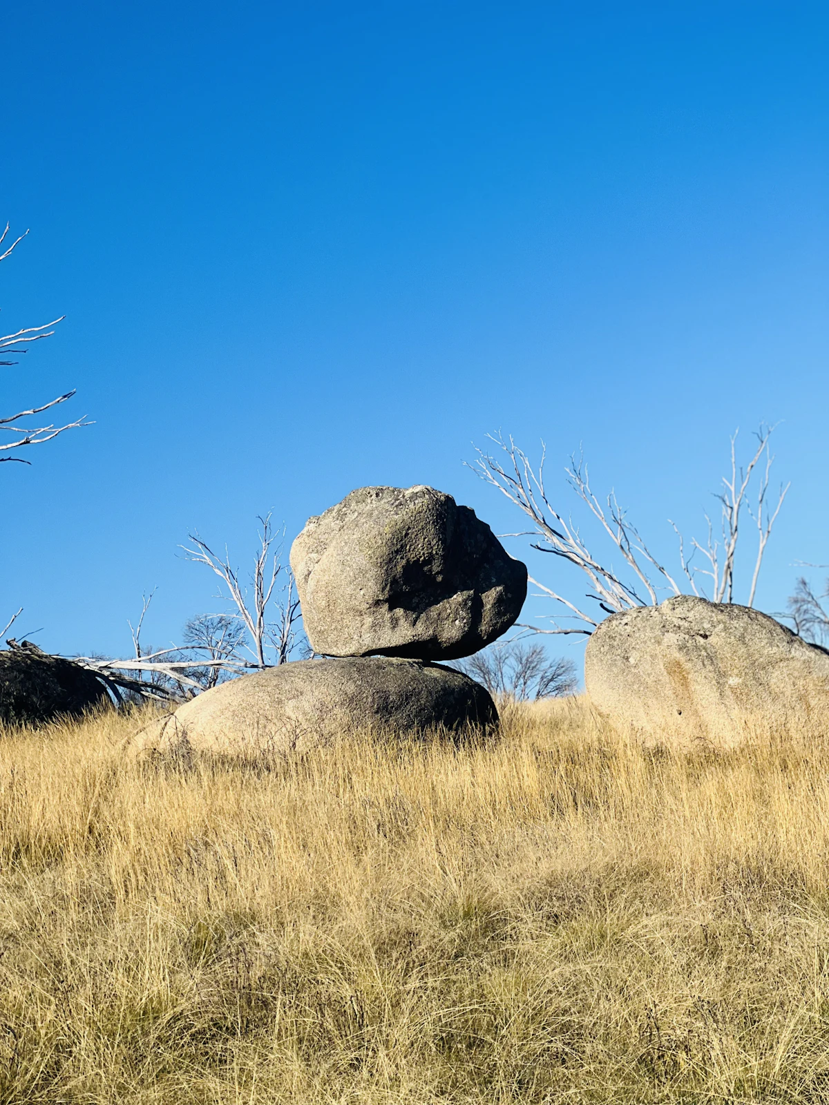 A balanced granite boulder in dry grass under a blue sky on Mount Buffalo