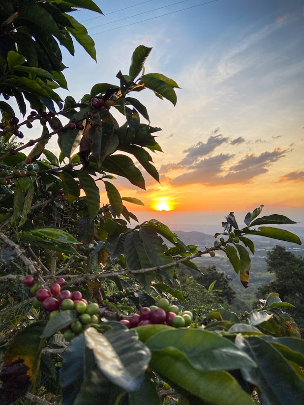 lugares para visitar en pereira