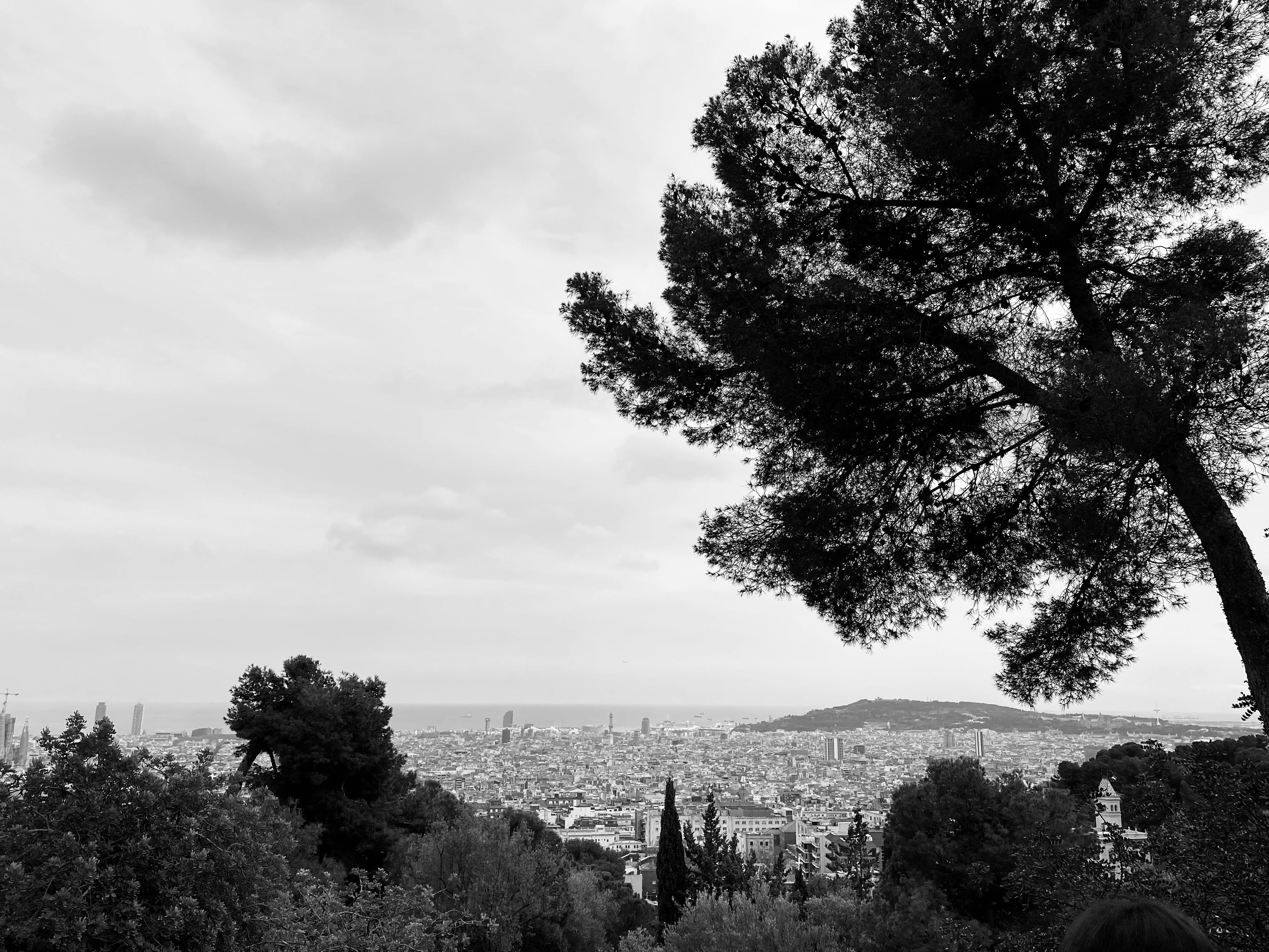 Photo by madascord18