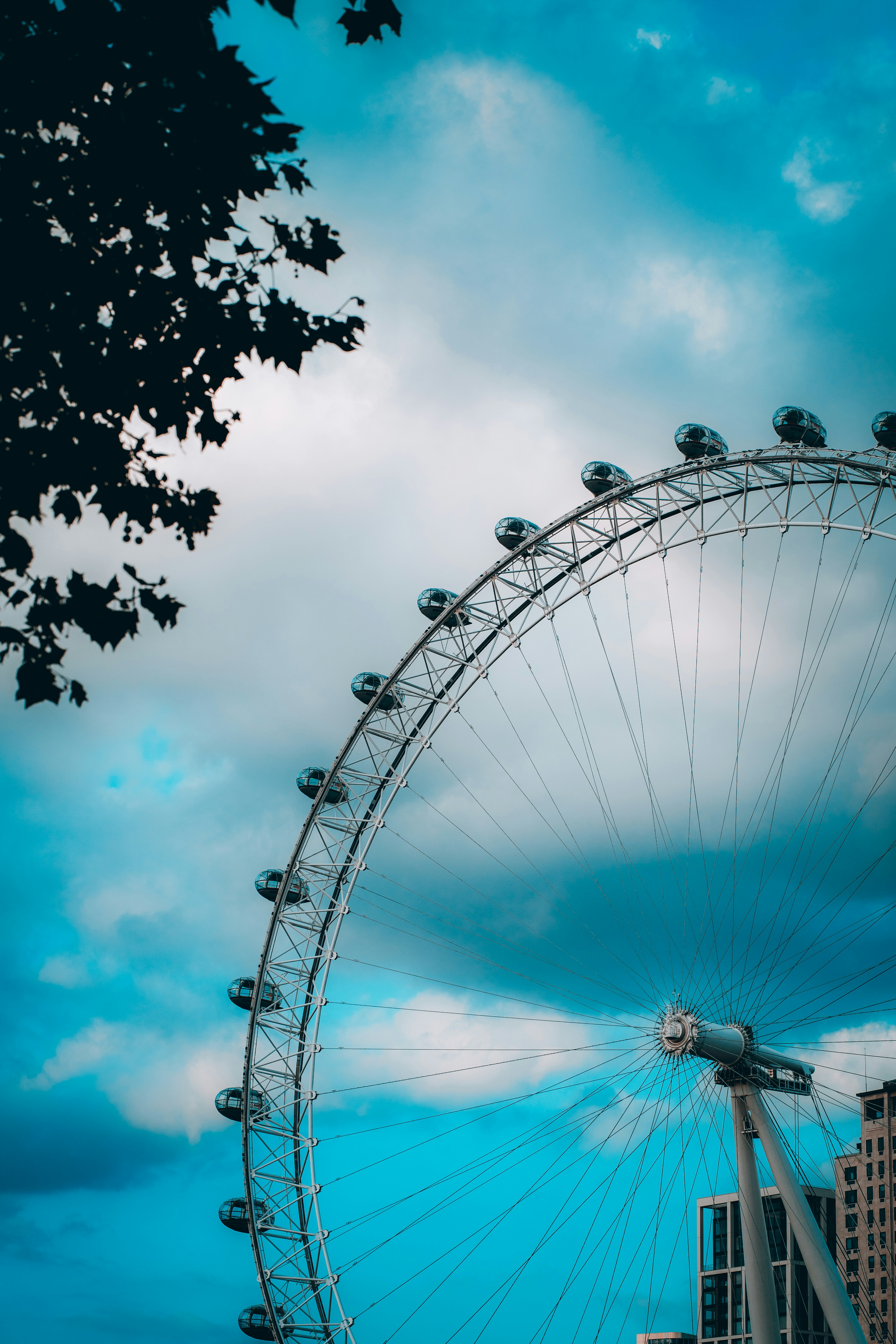 Photo by shields_mcmxcix