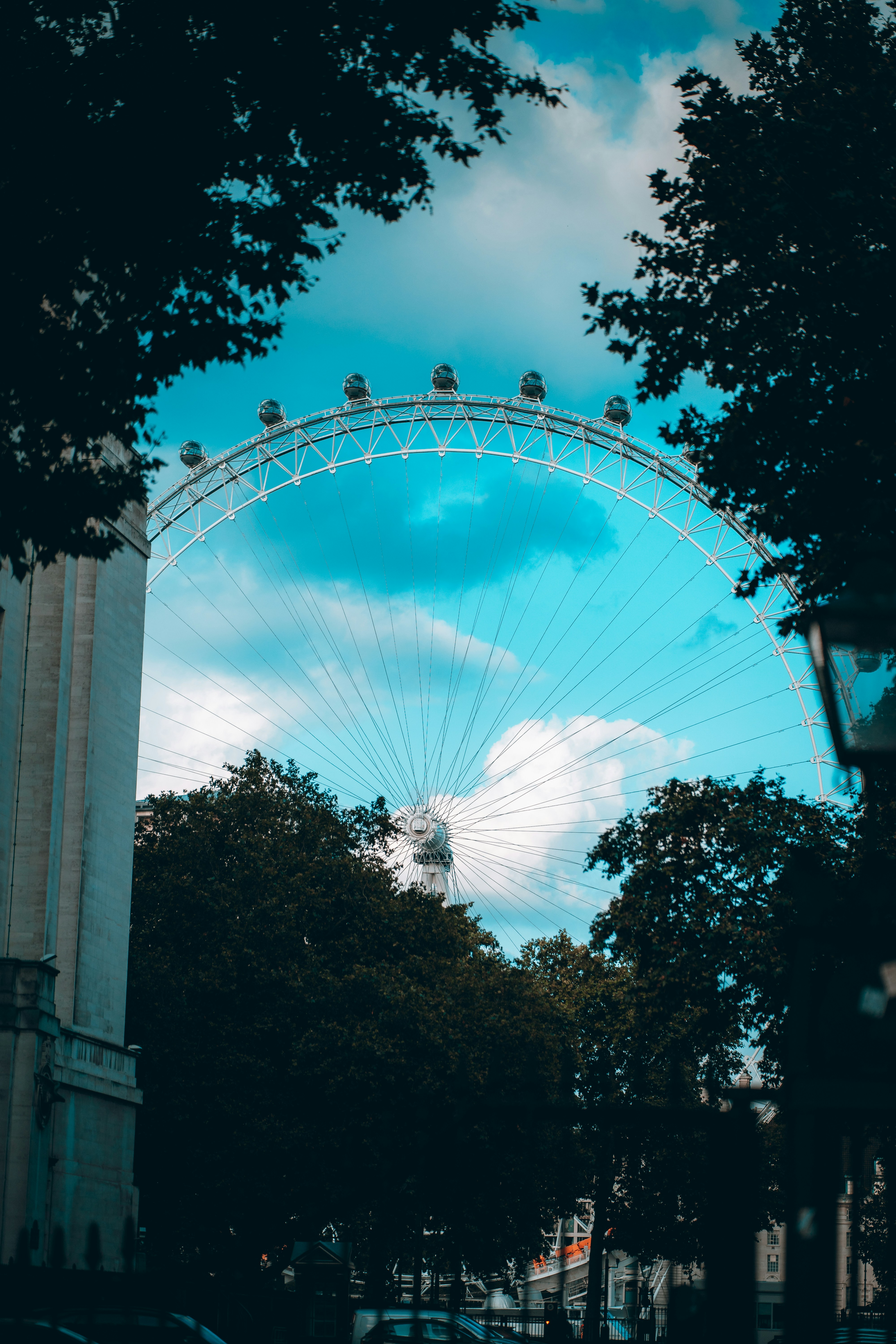 Photo by shields_mcmxcix