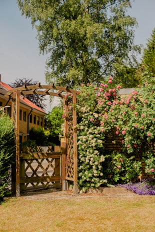 A wooden garden gate with lattice design stands open, bordered by lush climbing plants featuring pink and white flowers. Behind it, a tree towers over a charming residential area with light brown buildings. The foreground shows a neatly trimmed lawn with purple flowers at the base of the trellis.