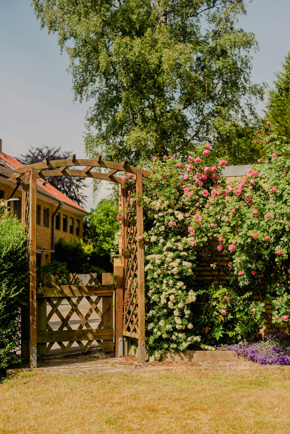 a garden with a wooden gate surrounded by flowers