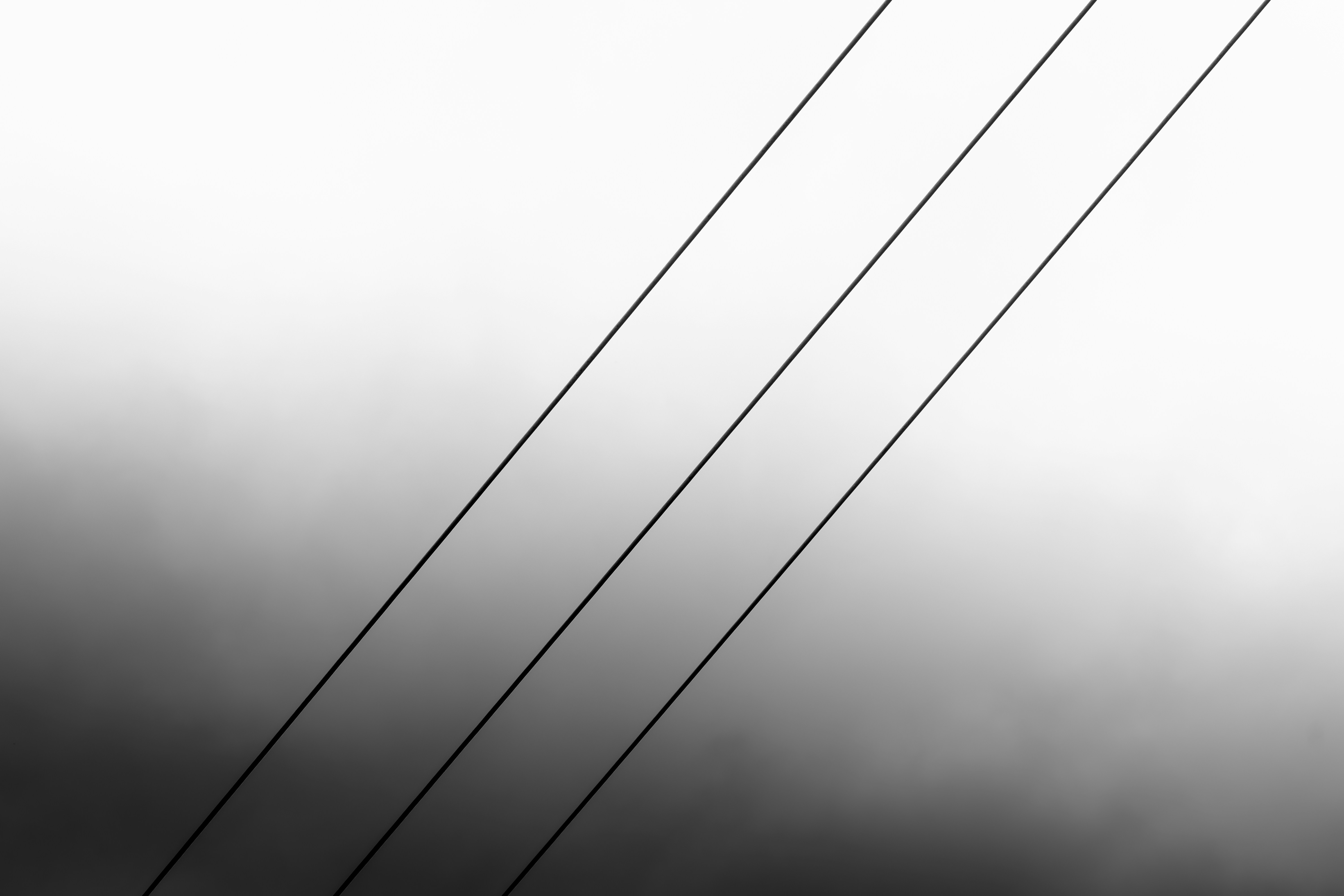 a black and white photo of power lines
