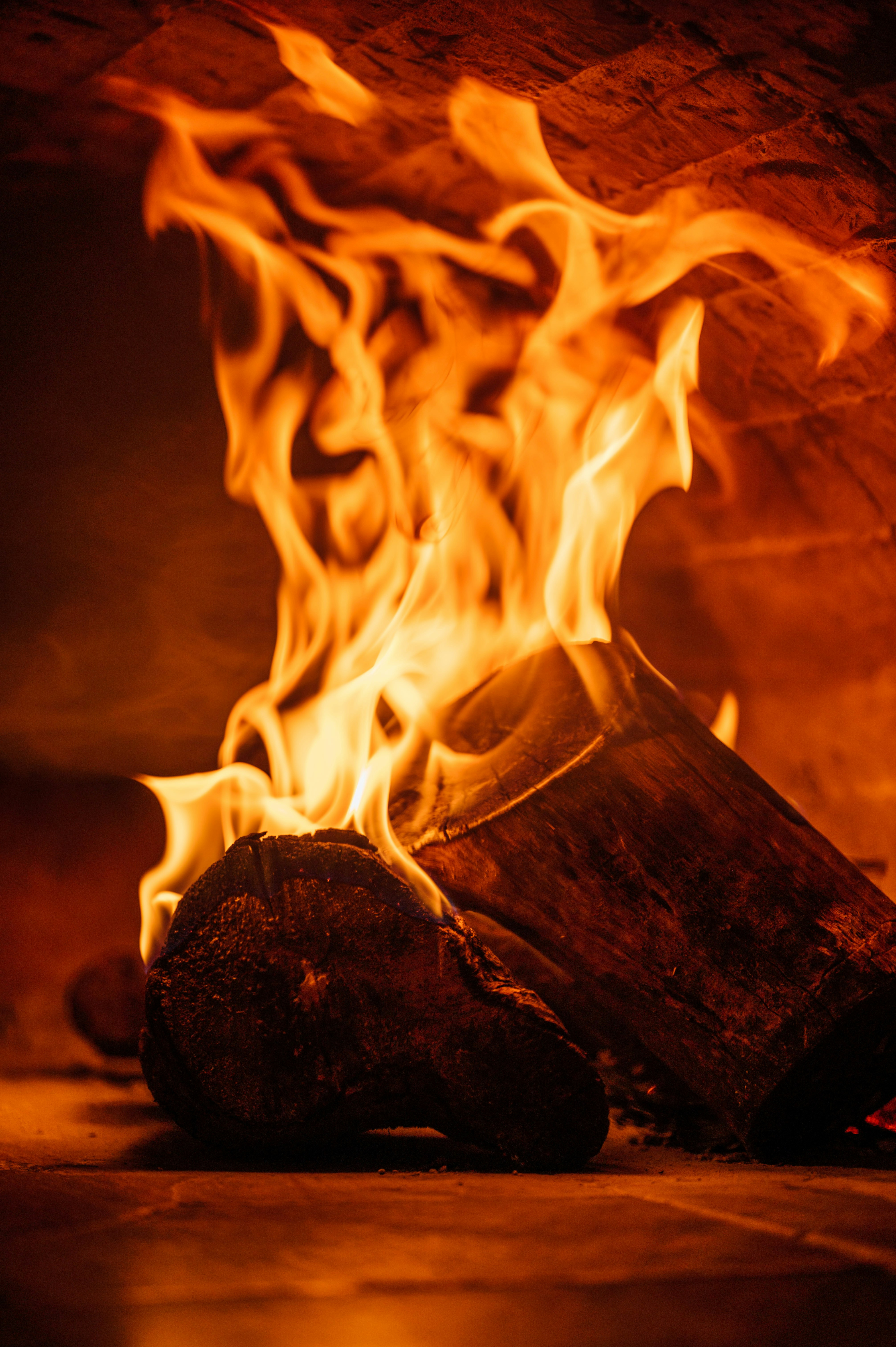 Photo by chuttersnap