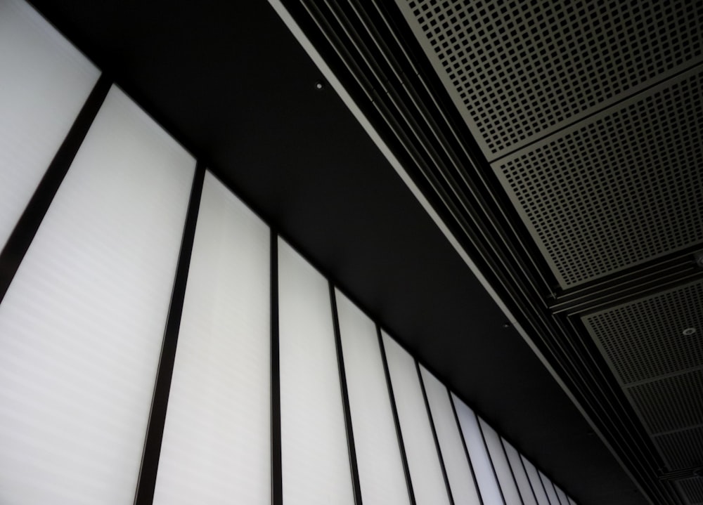 the ceiling of a building with a lot of windows