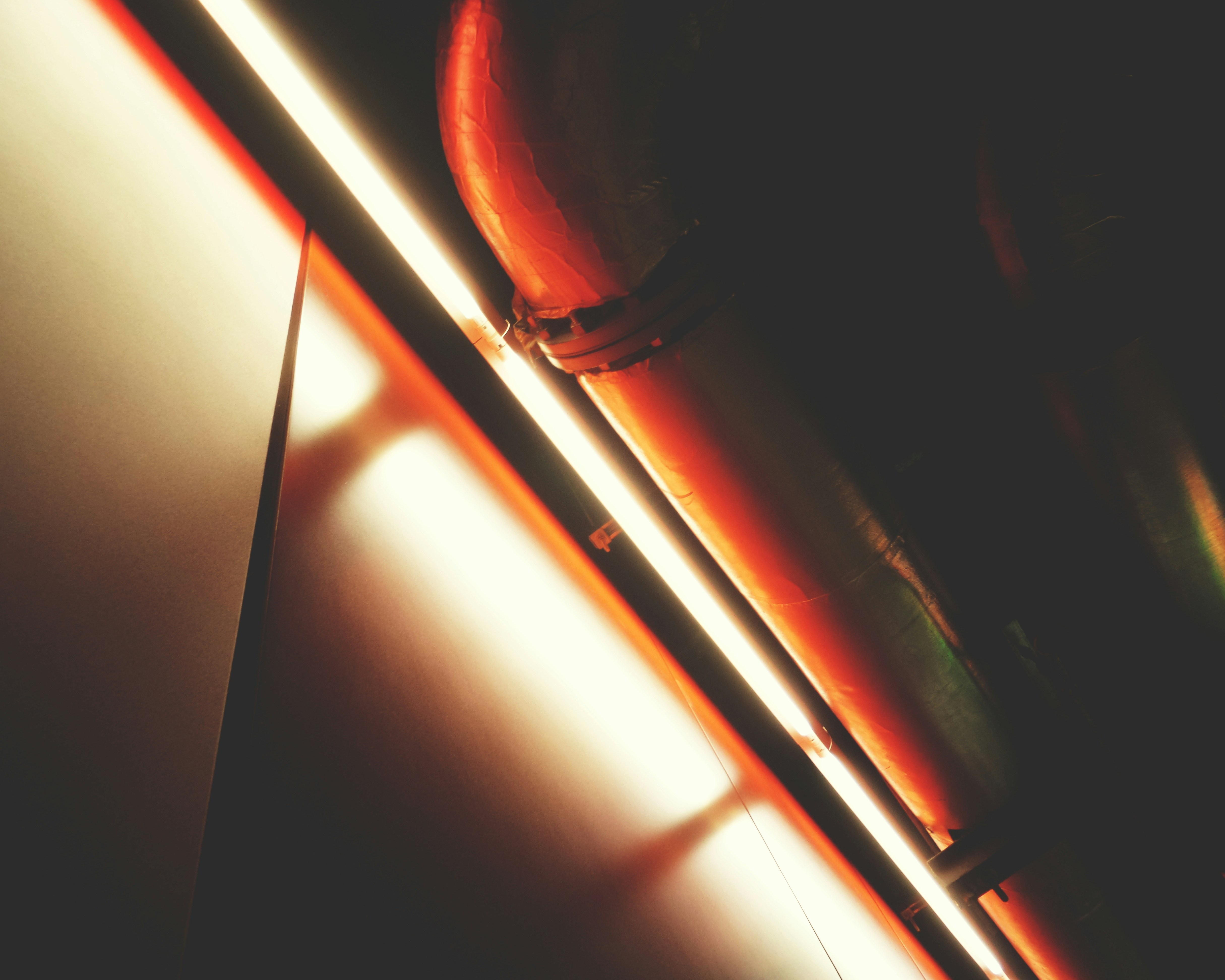 Photo by possessedphotography