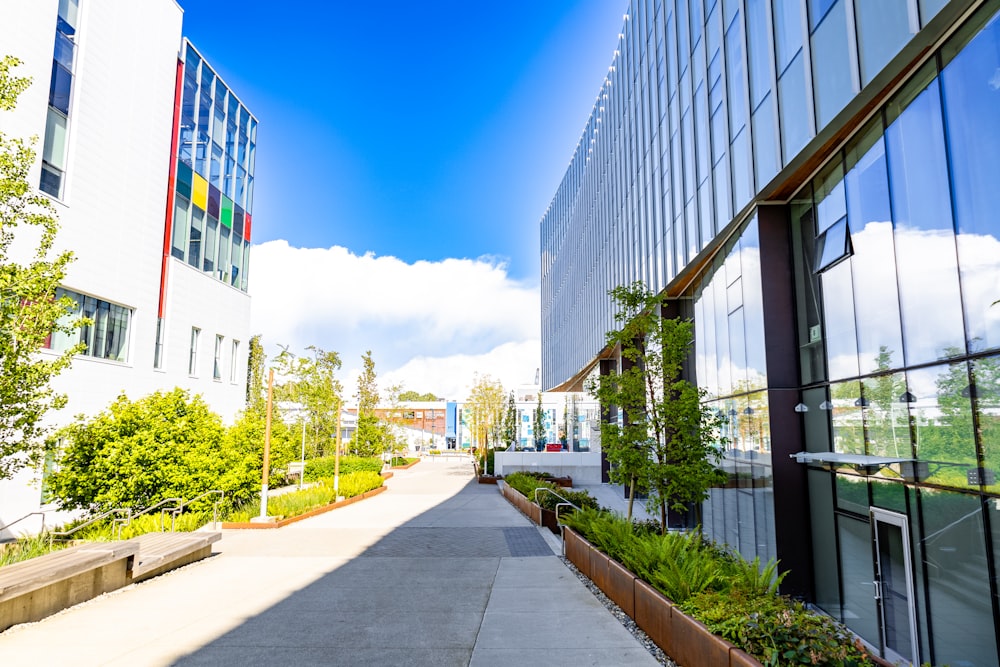 a long sidewalk with a building in the background