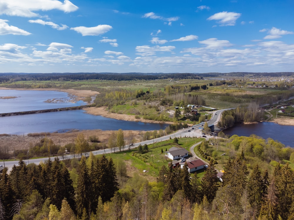 a large body of water surrounded by trees