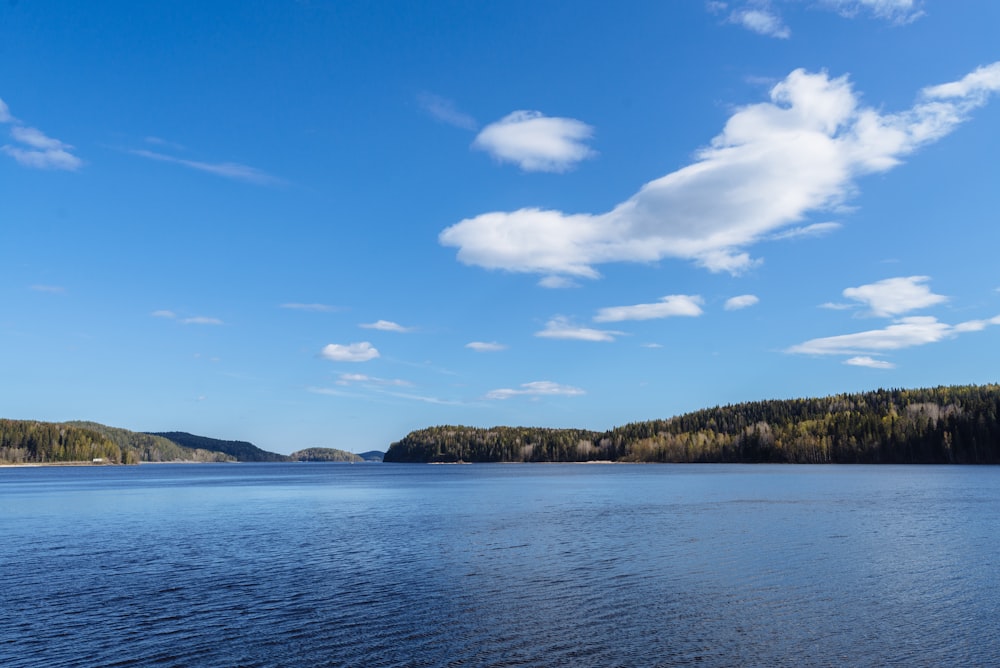 a large body of water surrounded by forest