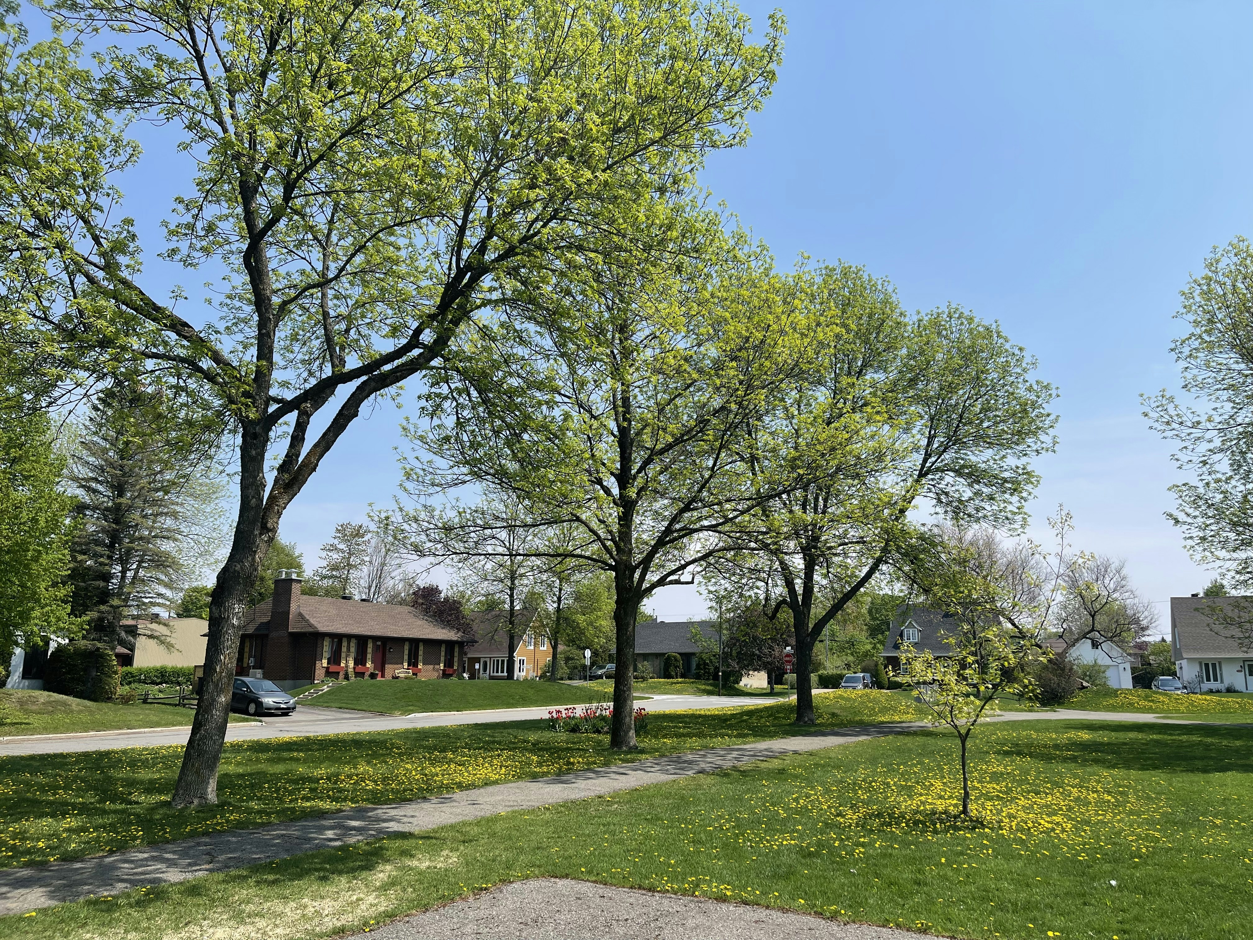 Photo by andresmachado_