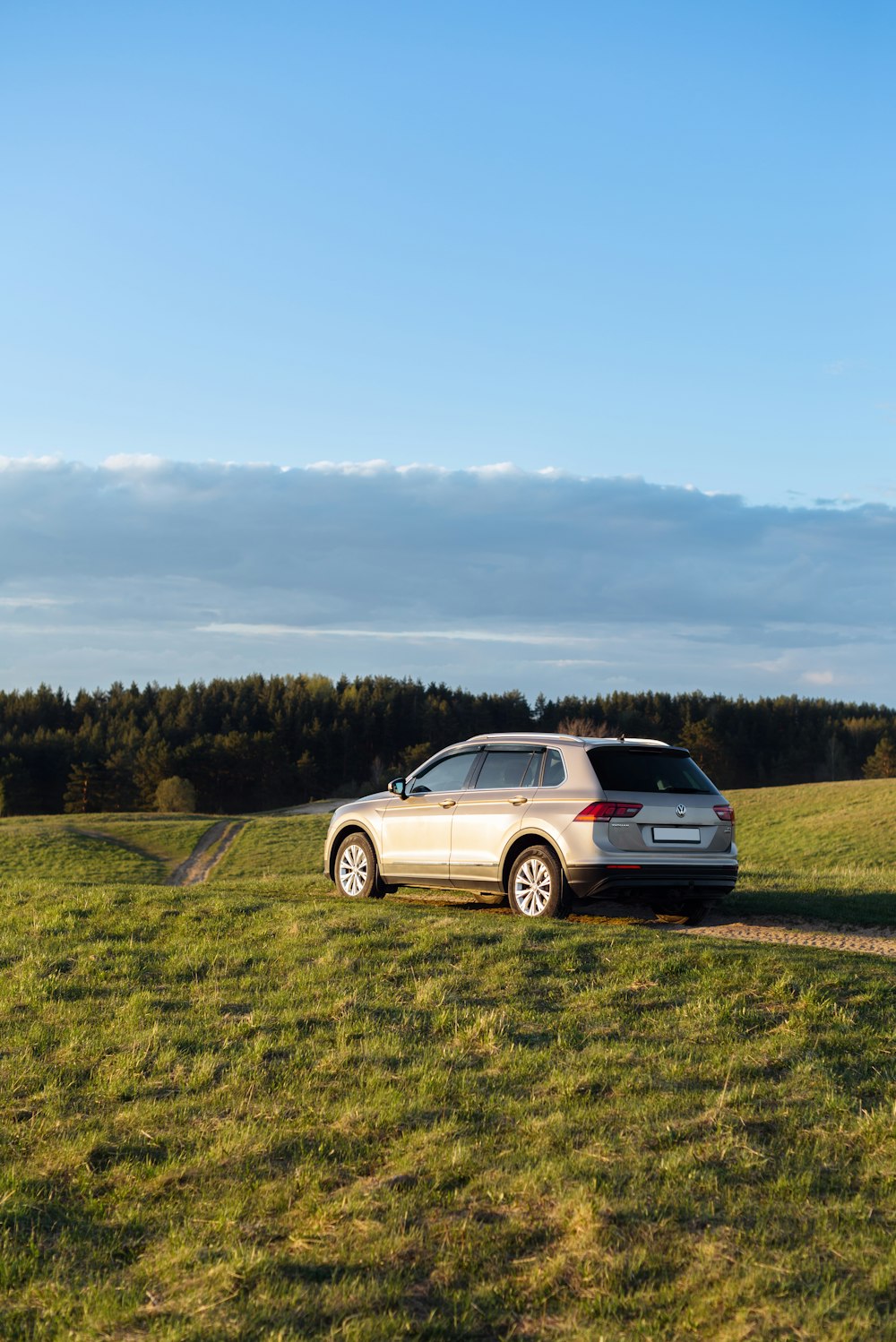 a car is parked on a grassy field