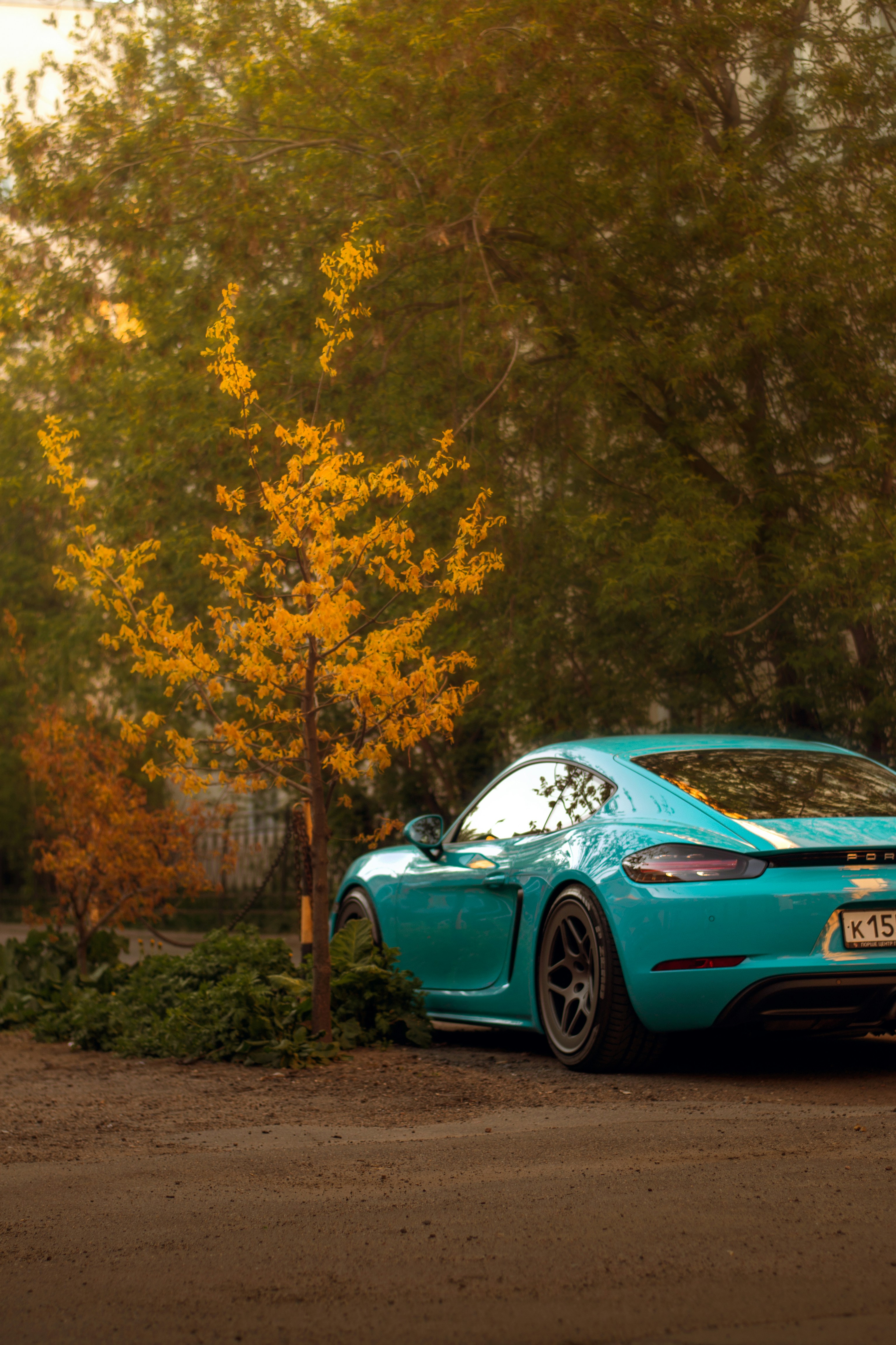 Photo by mihailovart_pht