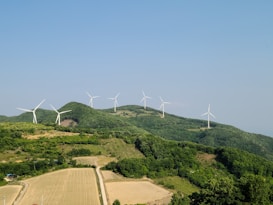 A range of wind turbines scattered across lush green hills under a clear blue sky. The turbines are positioned along the ridges of the hills, surrounded by dense forests and fields. The landscape is expansive, emphasizing the scale of the wind farm.