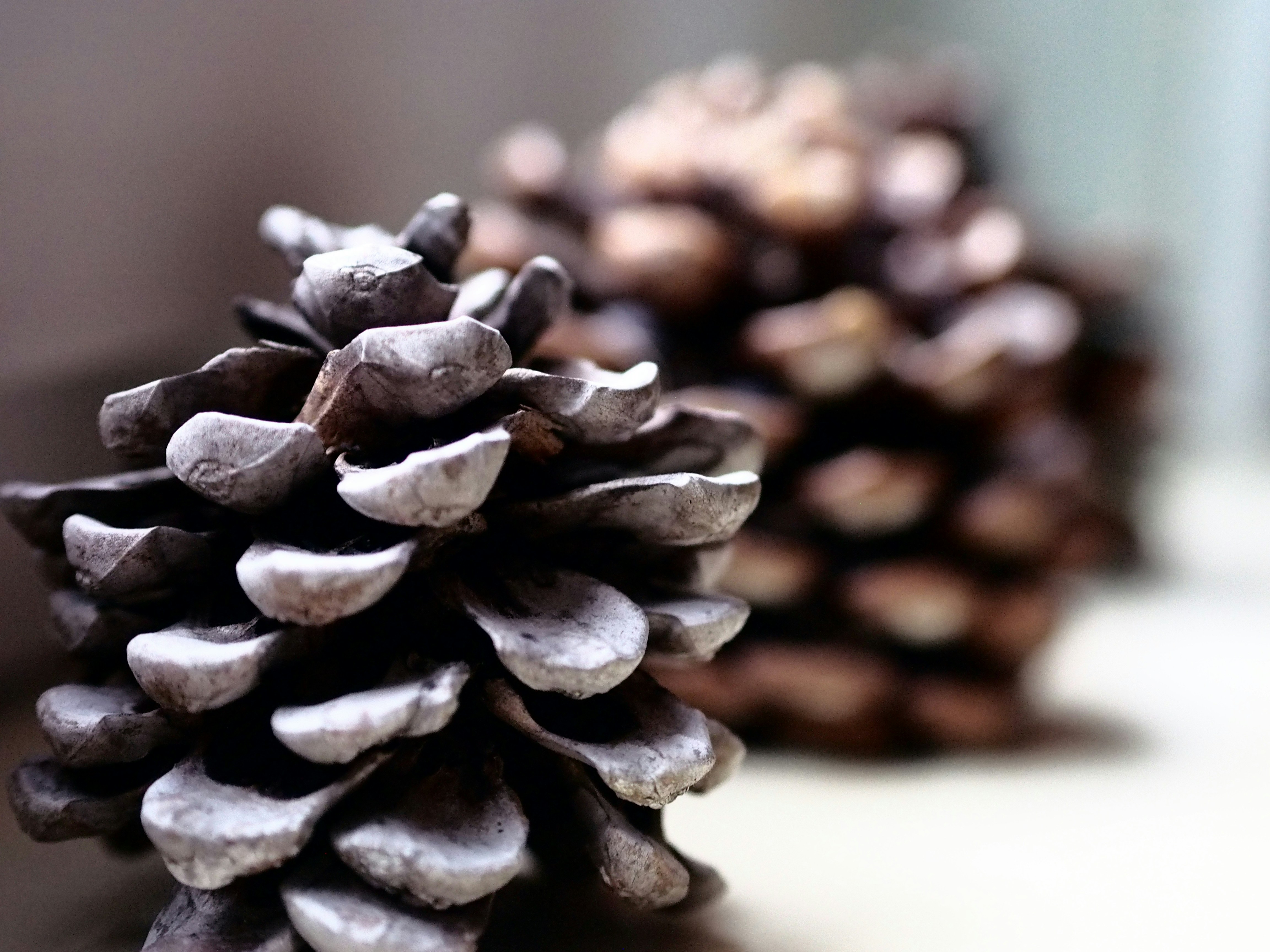 Photo by rdavidcummins