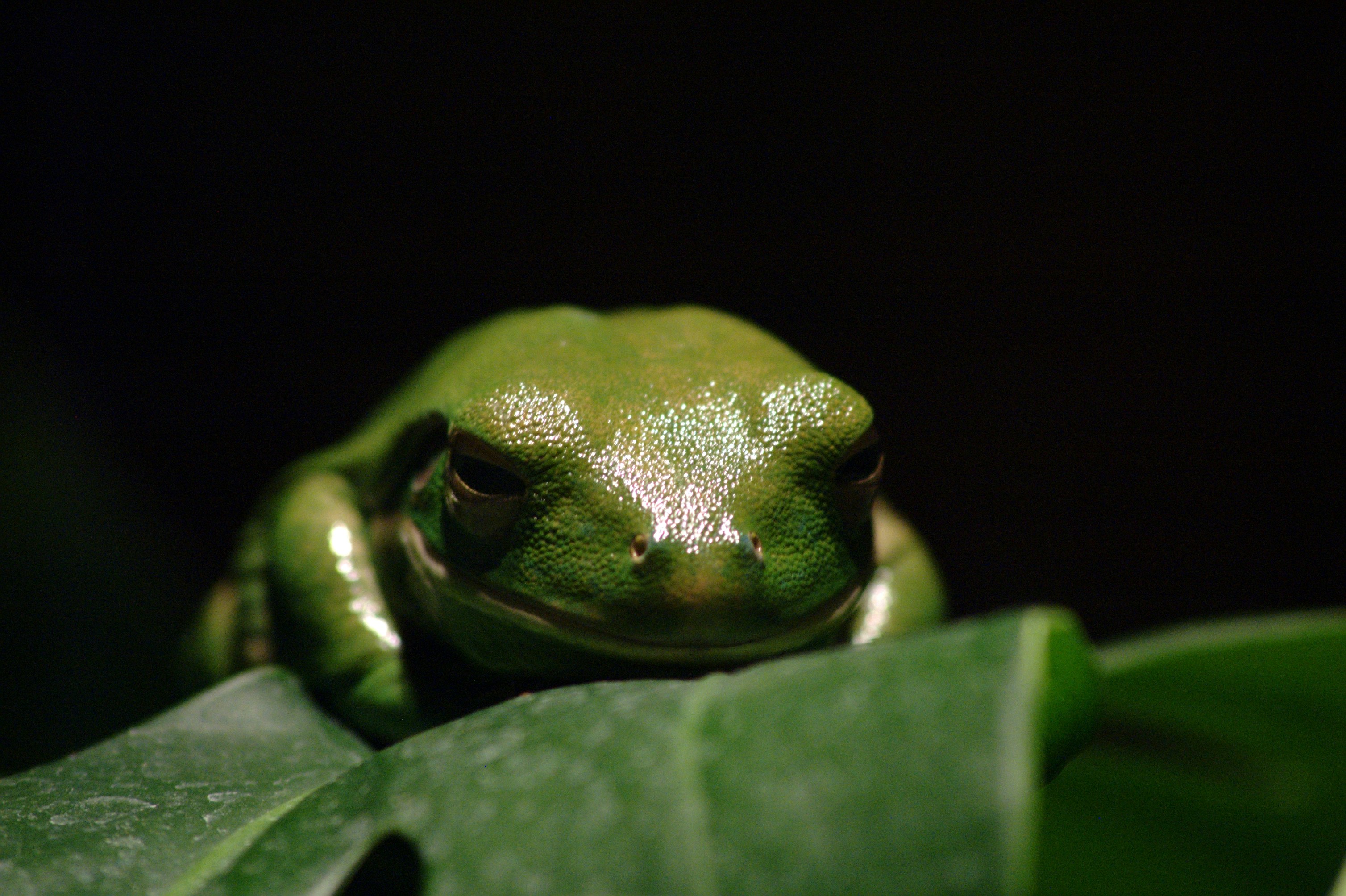 Photo by rdavidcummins