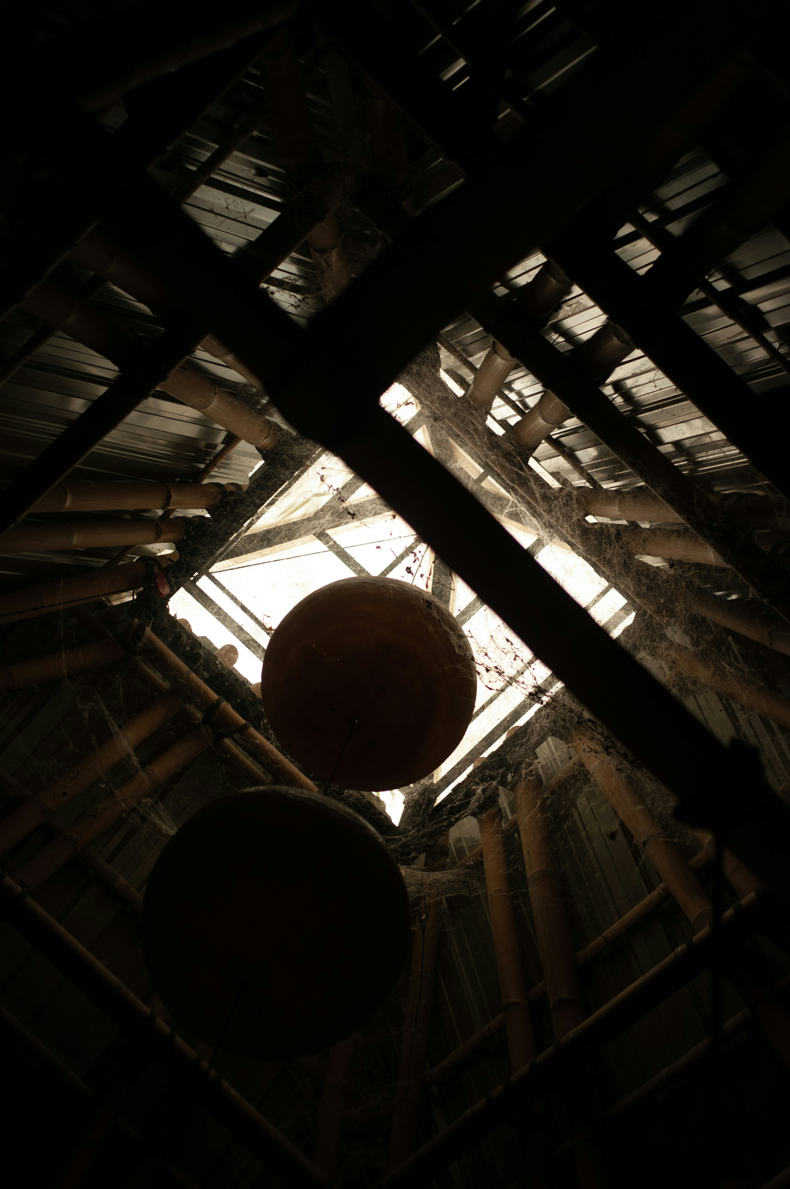 Photo by nilepereiraa