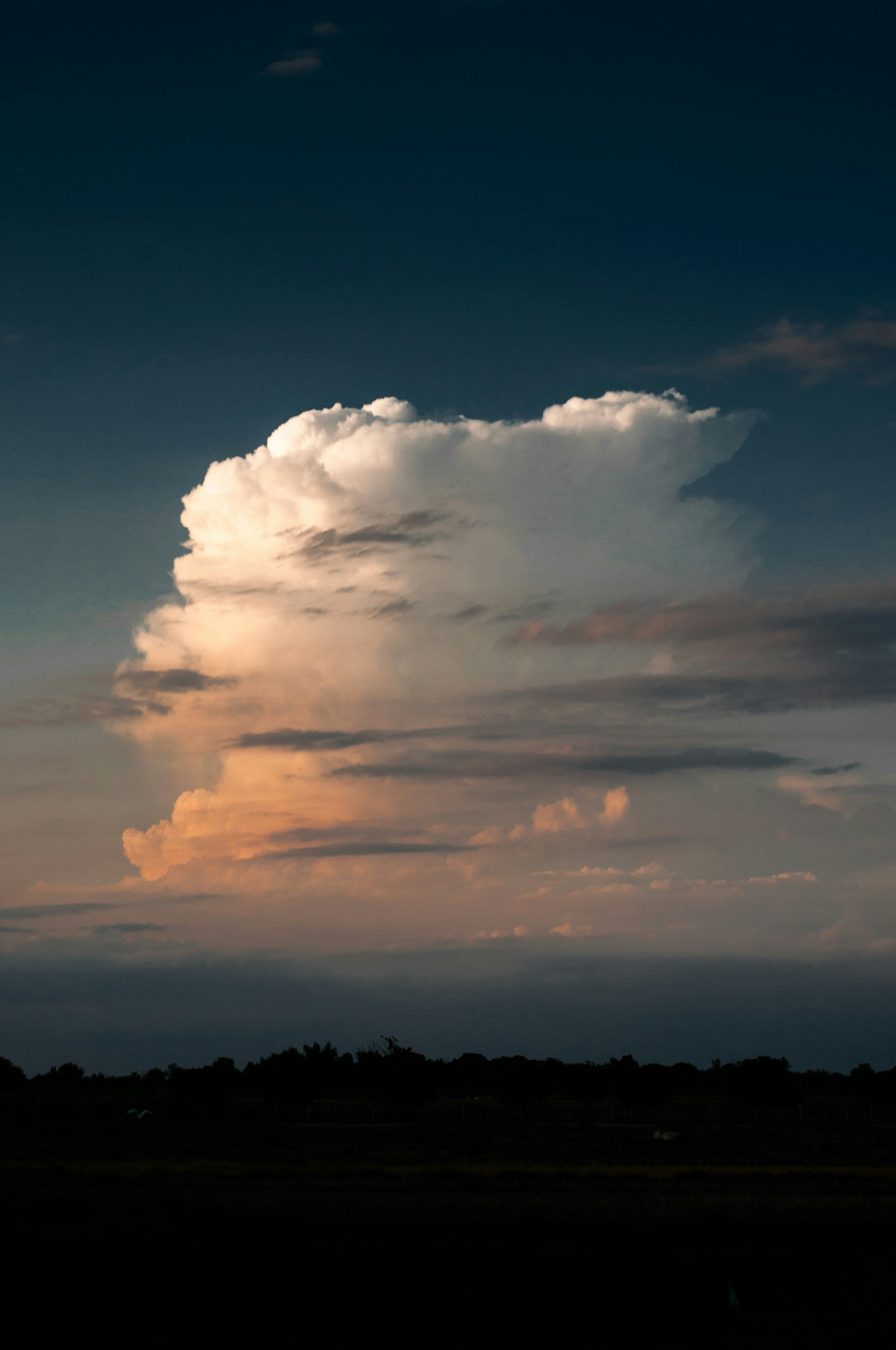 Photo by nilepereiraa