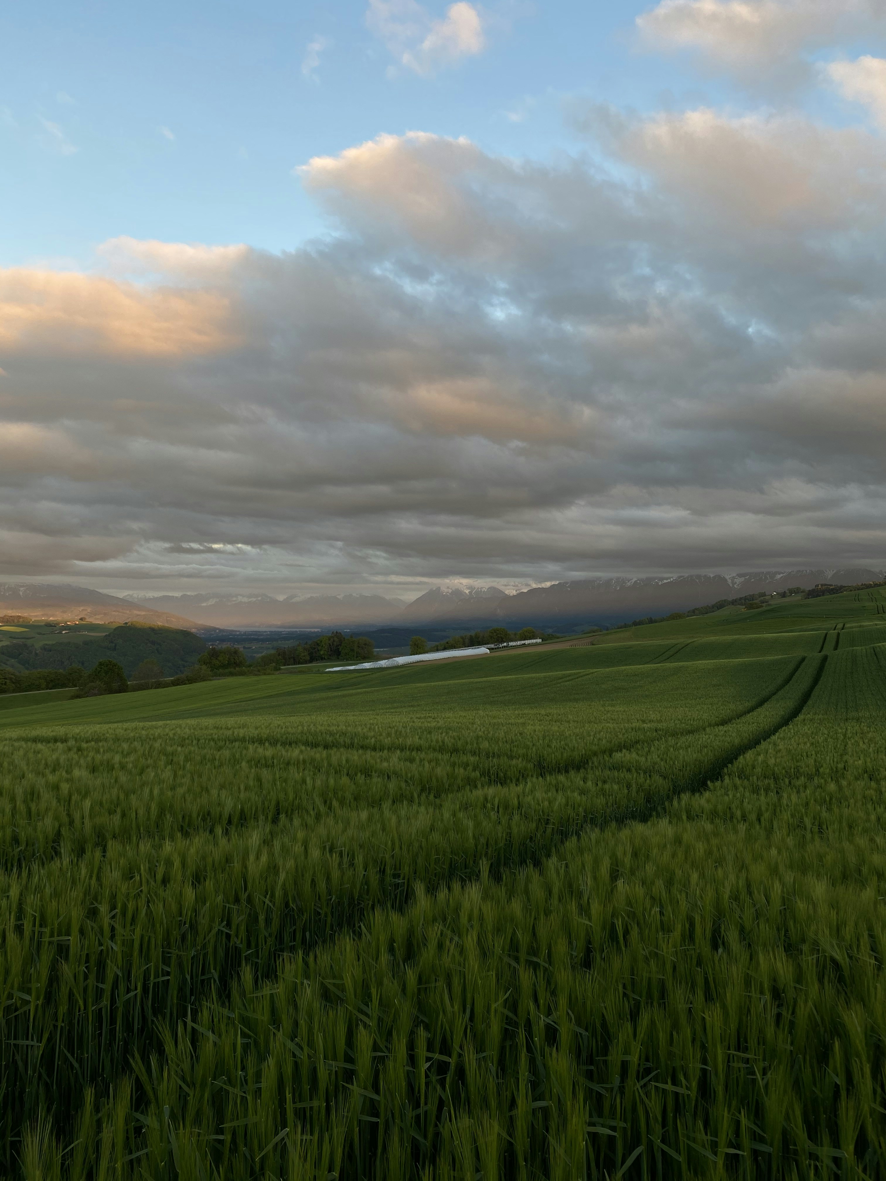 Photo by benaja_photos